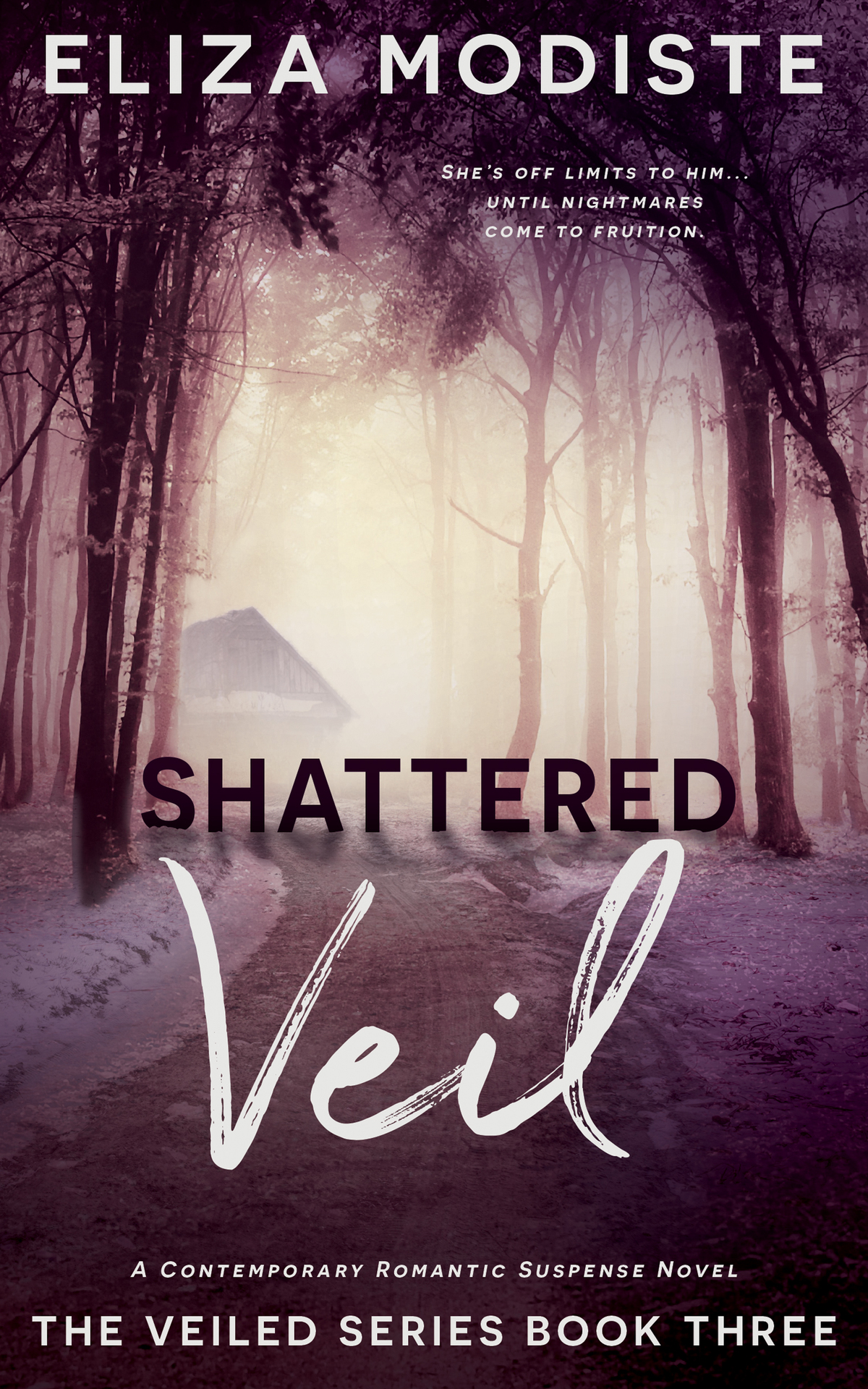 Shattered Veil A Forbidden Relationship Contemporary Romantic Suspense Novel Eliza Modiste