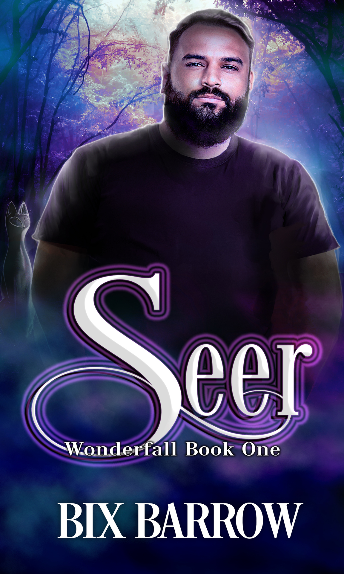 Seer Wonderfall Book One Bix Barrow