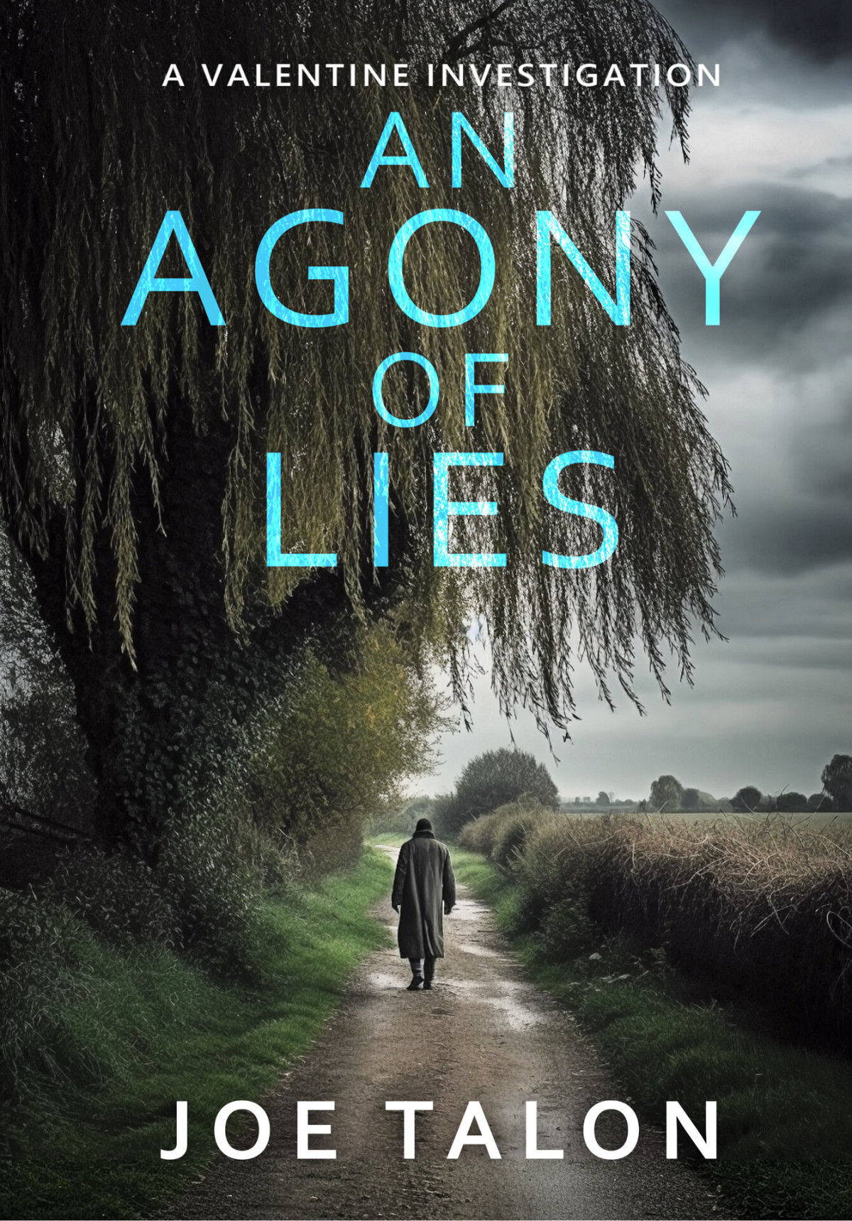 An Agony Of Lies A Valentine Investigation Book 3 Joe Talon
