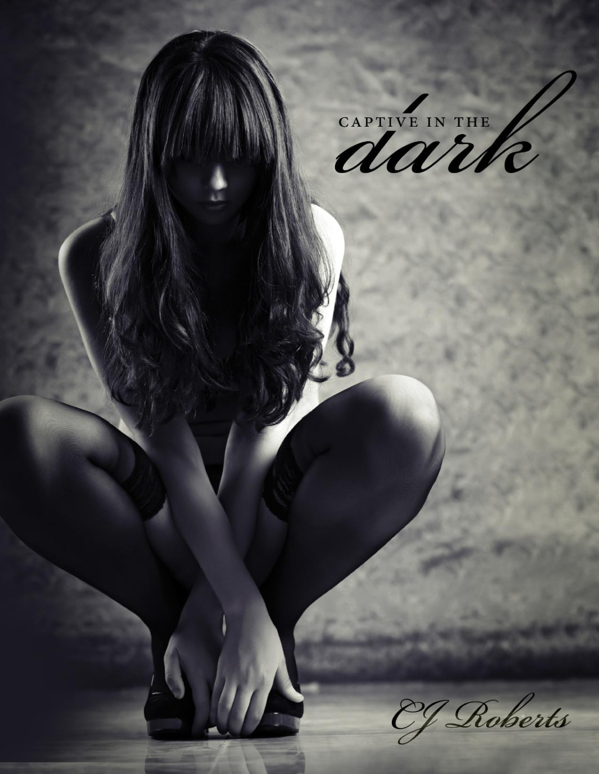 Captive In The Dark Cj Roberts
