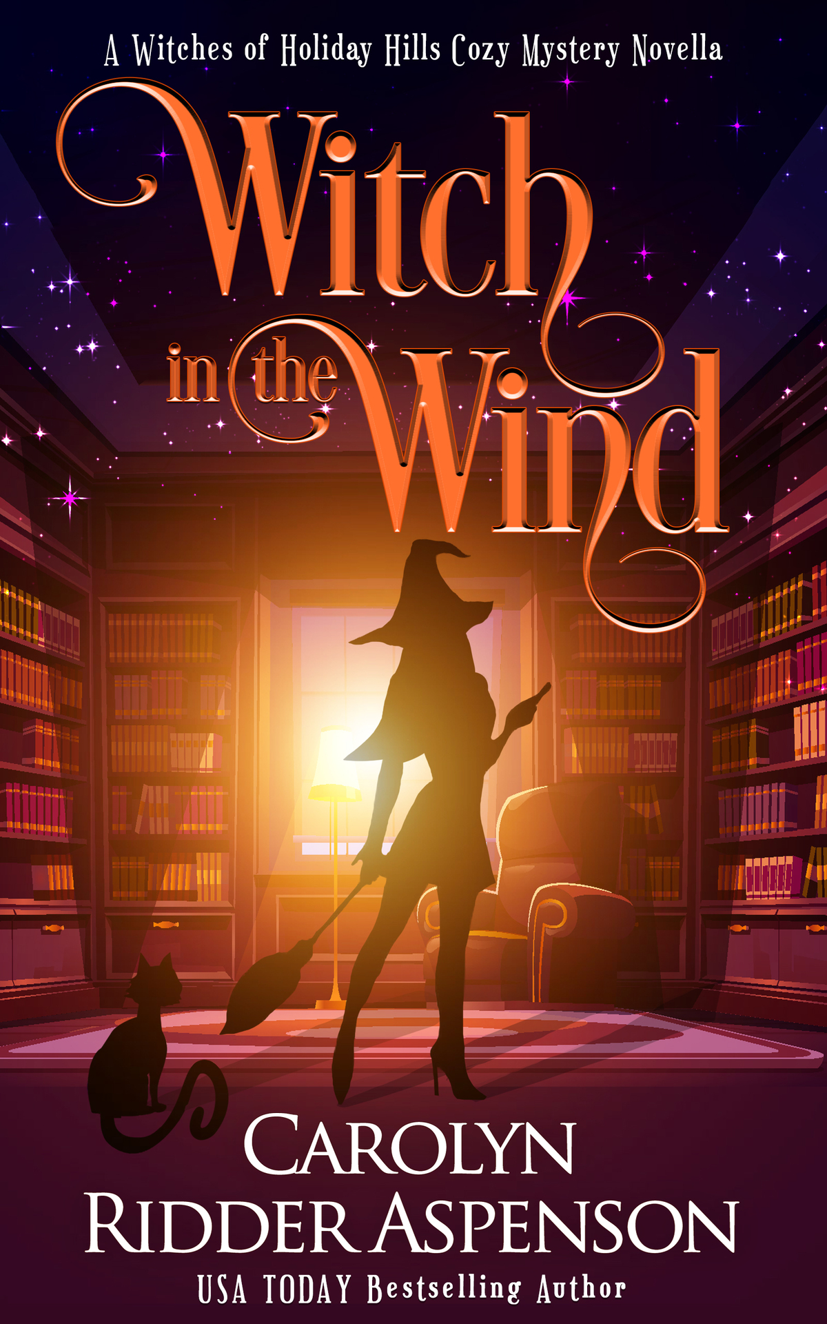 Witch In The Wind Carolyn Ridder Aspenson