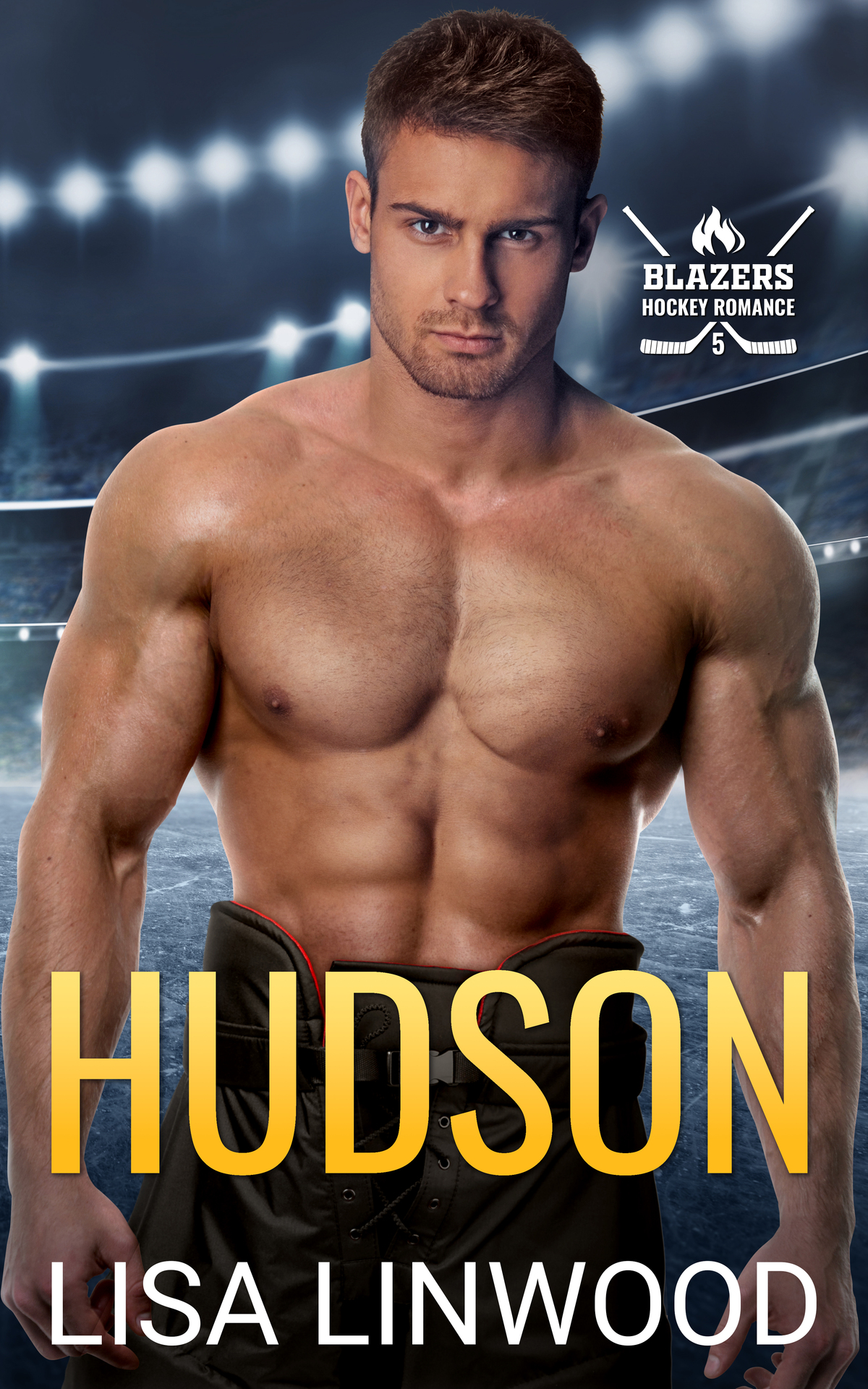 Hudson Blazers Hockey Romance Lisa Linwood