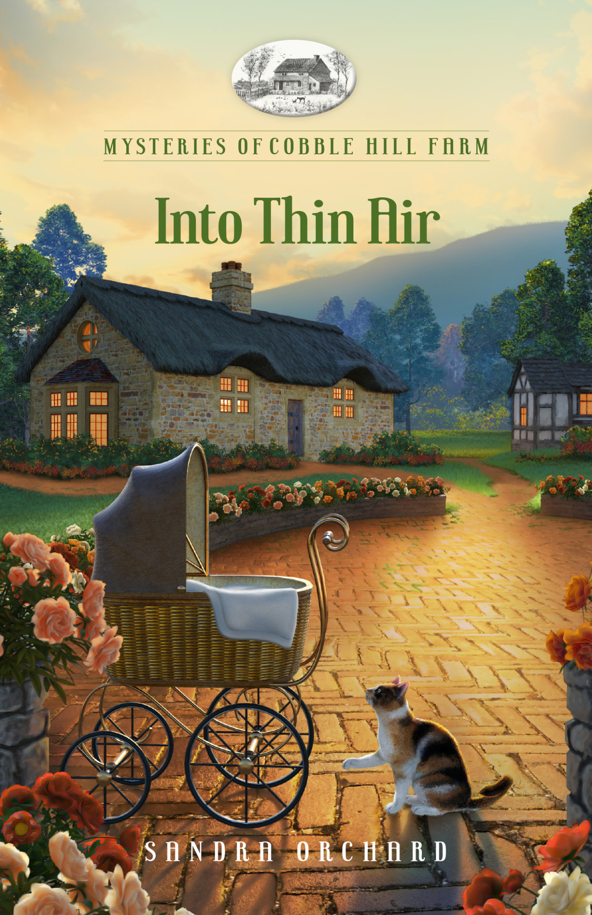 Into Thin Air Sandra Orchard