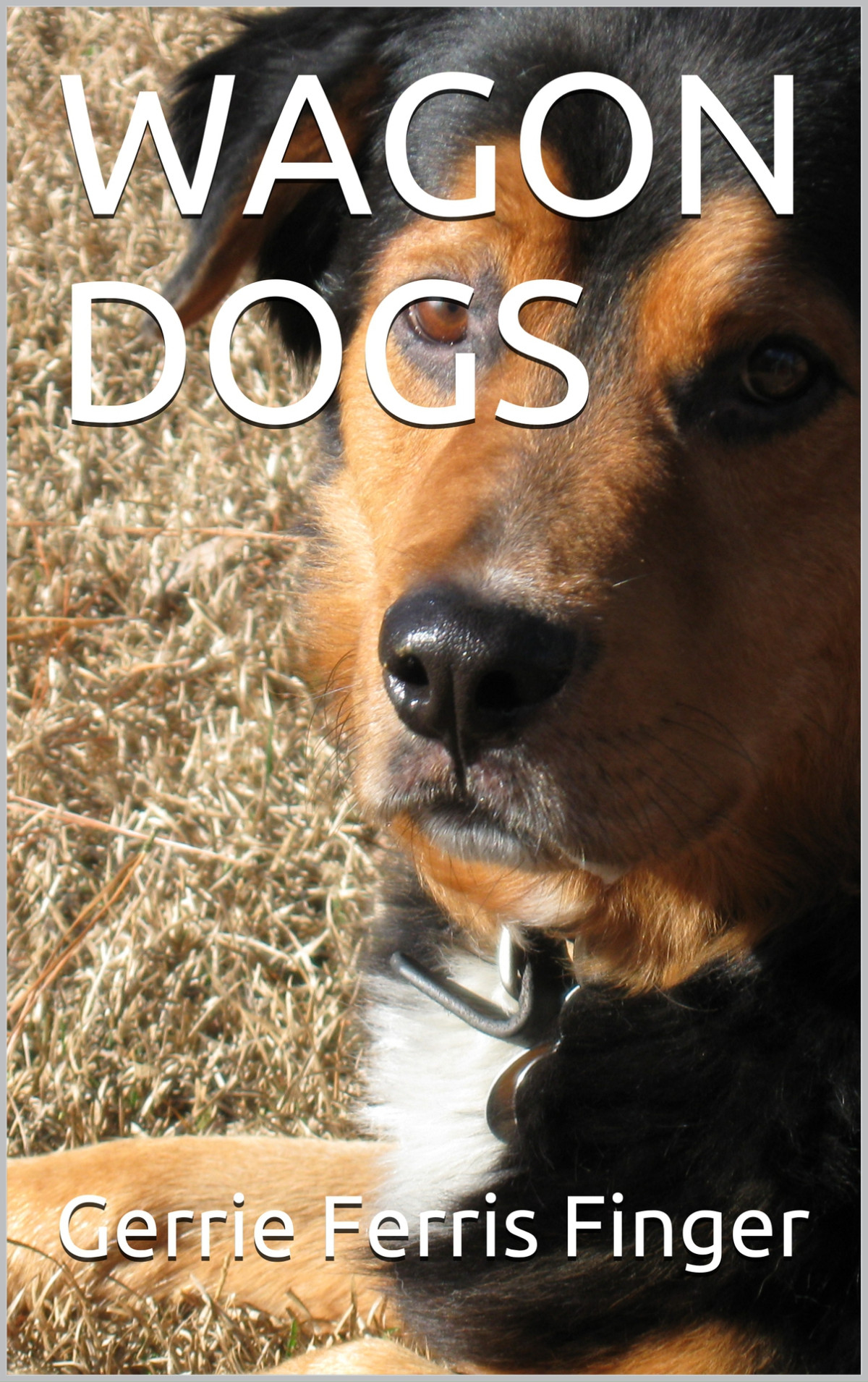 Wagon Dogs The Laura Kate Oconnell Story Finger Gerrie Ferris