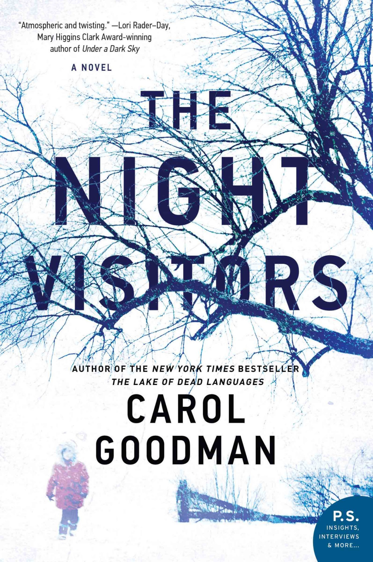 The Night Visitors Carol Goodman