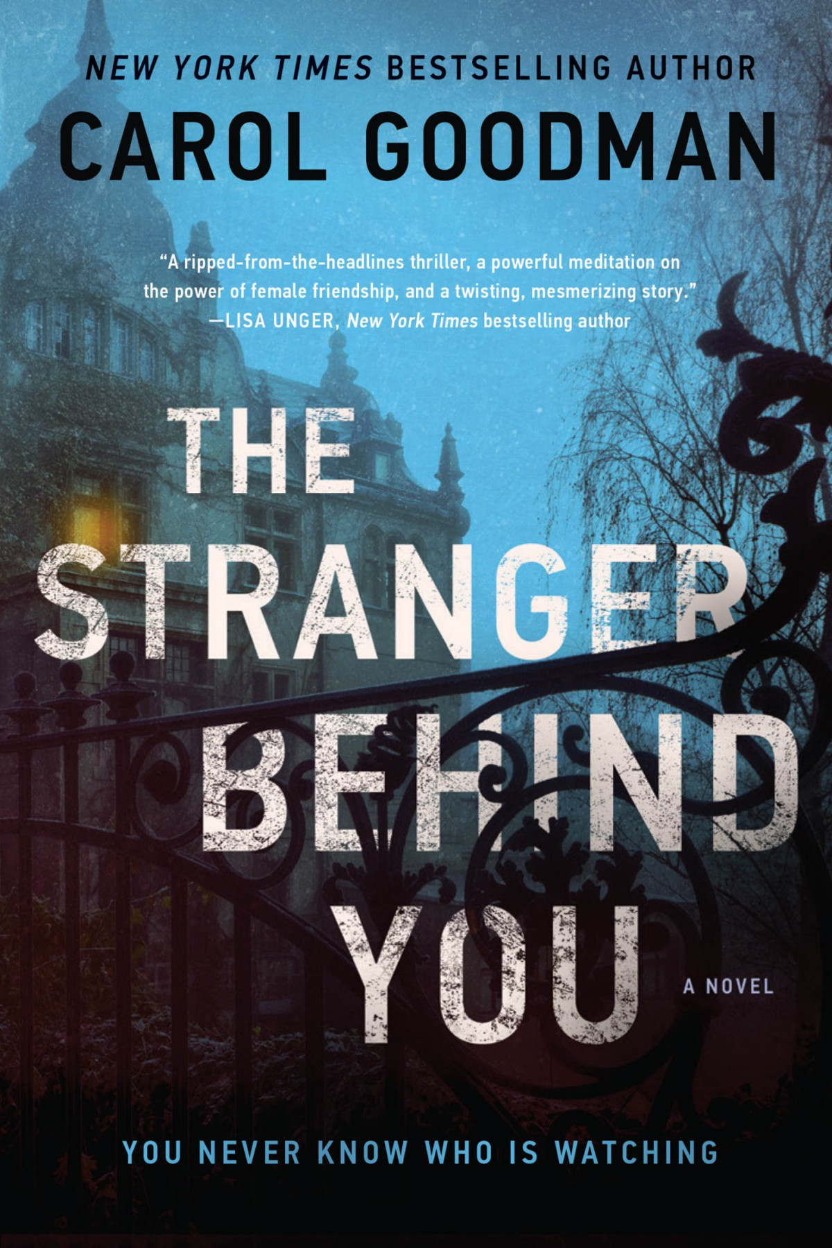 The Stranger Behind You A Novel Carol Goodman