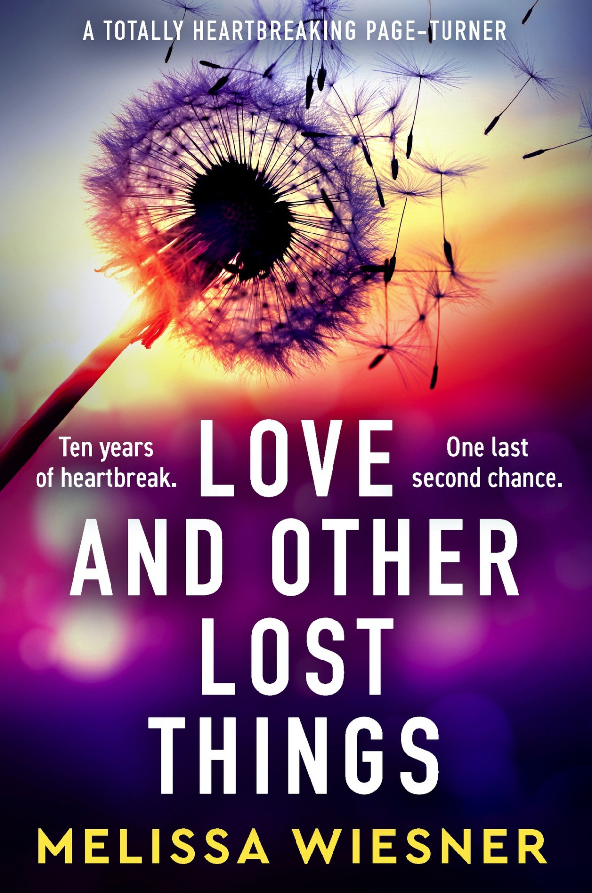 Love And Other Lost Things Melissa Wiesner