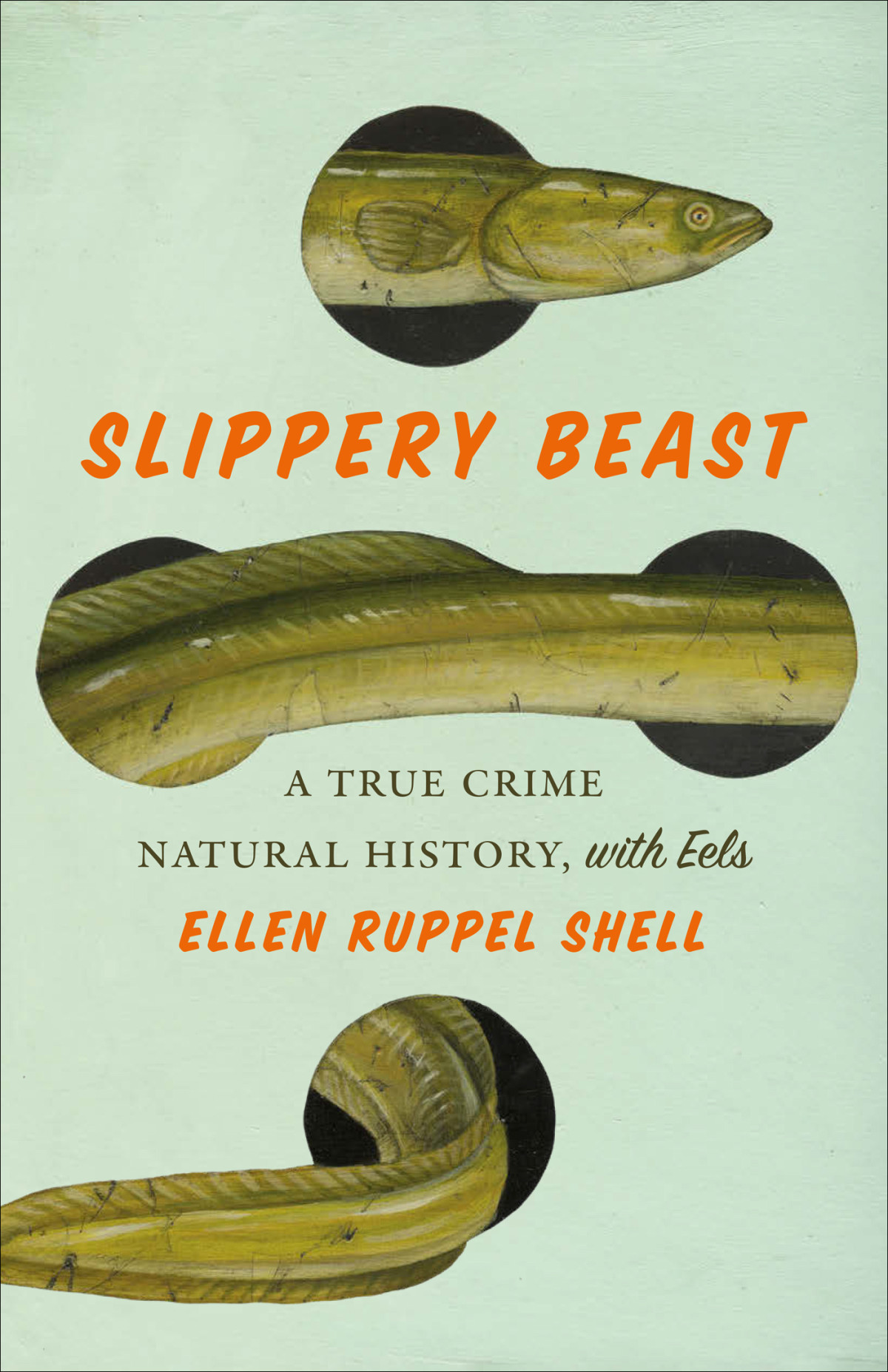 Slippery Beast A True Crime Natural History With Eels 1st Edition Ellen Ruppel Shell