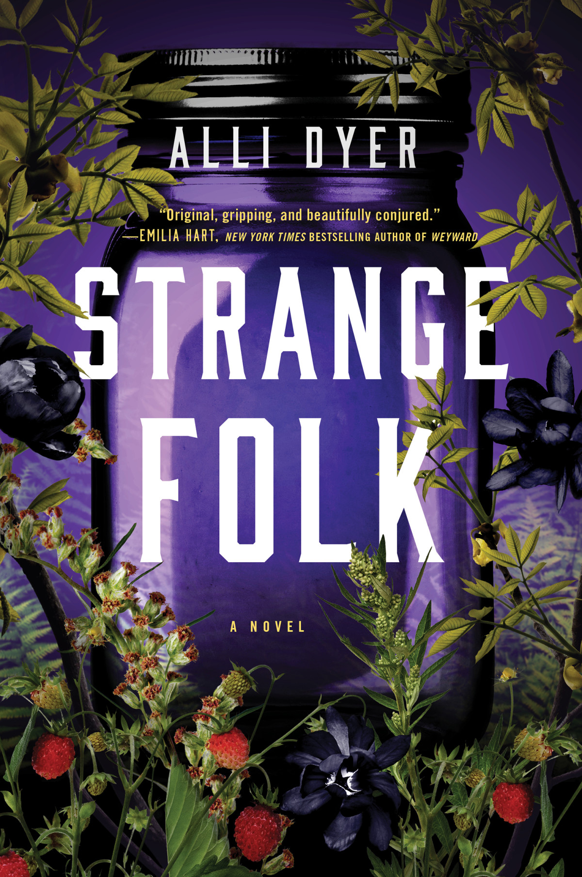 Strange Folk A Novel Alli Dyer