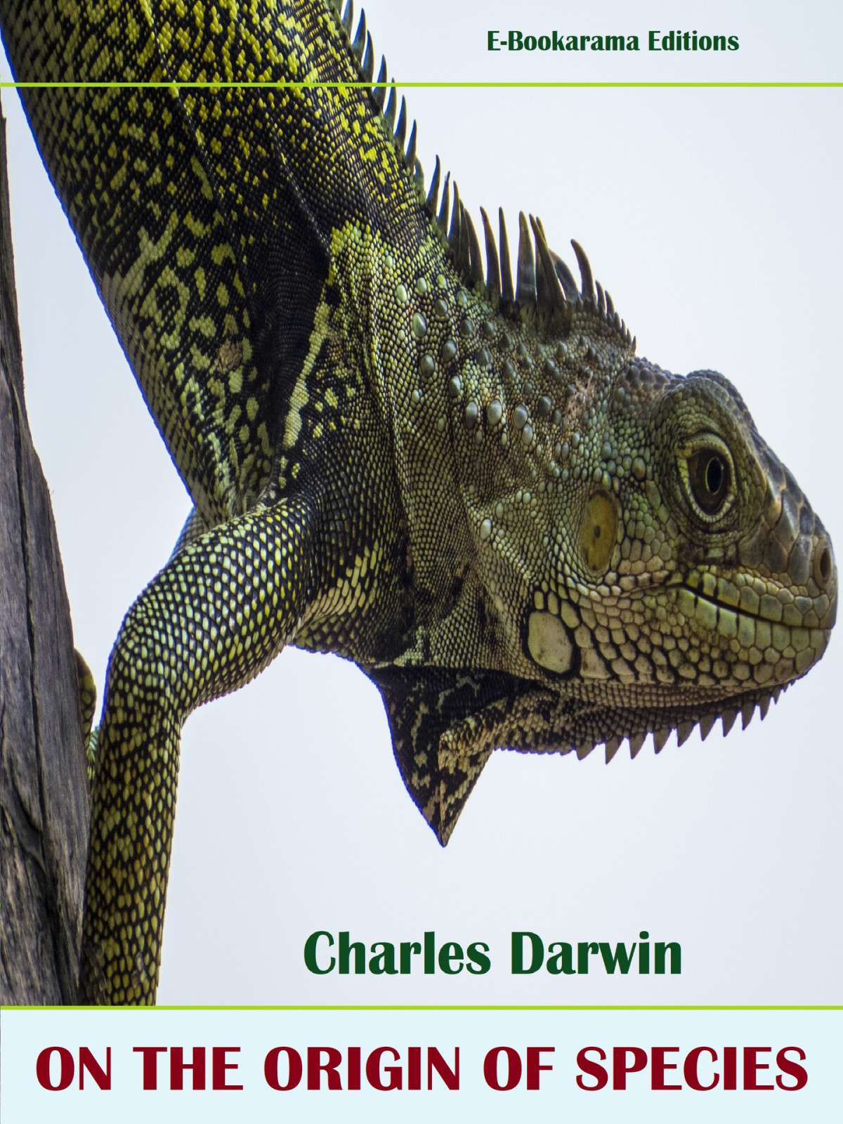 On The Origin Of Species Charles Darwin