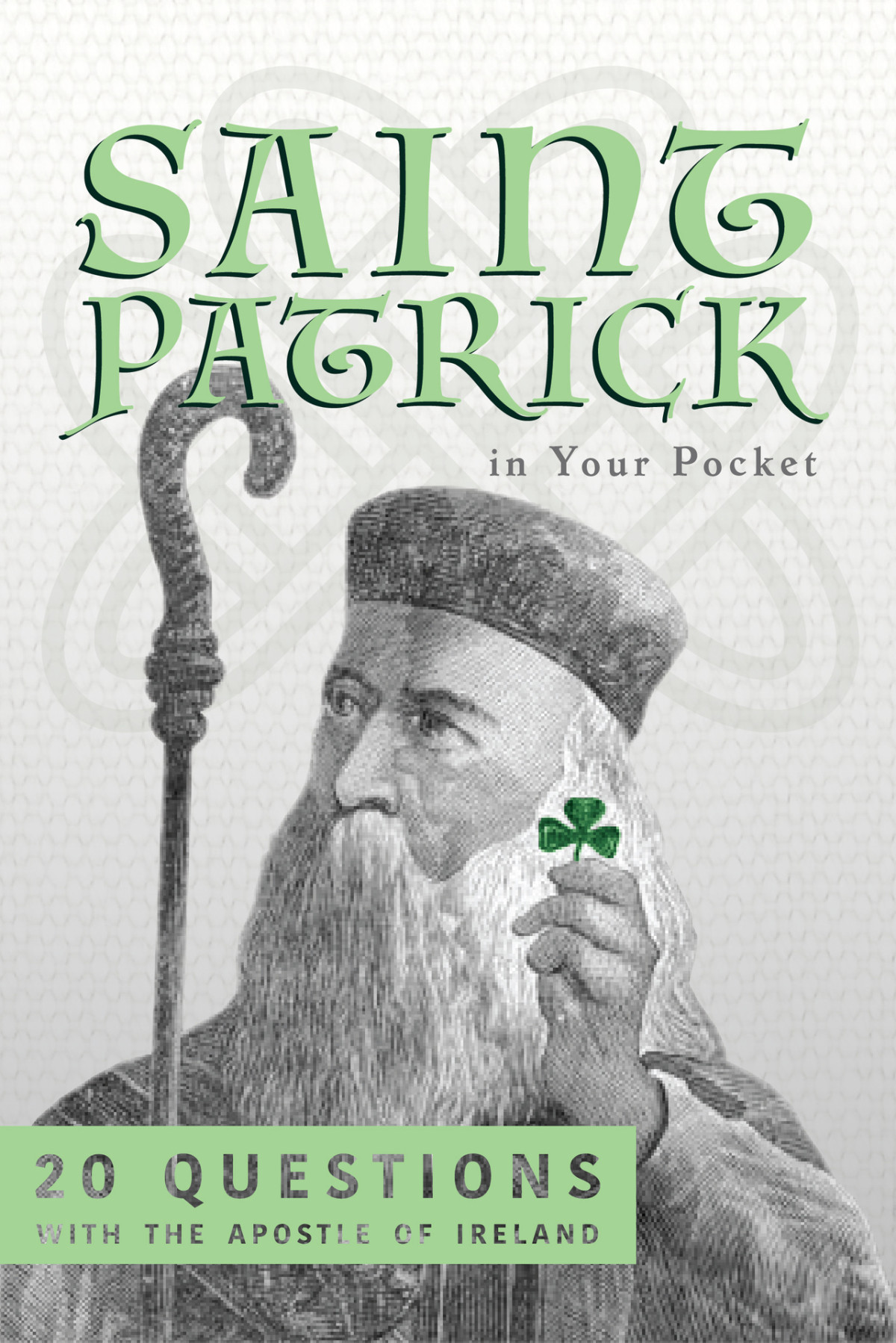 Saint Patrick In Your Pocket 20 Questions With The Apostle Of Ireland Kneverday