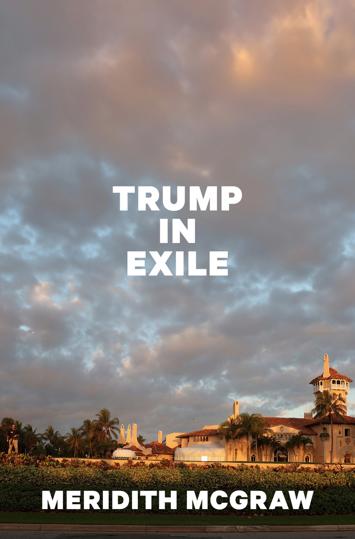 Trump In Exile 1st Edition Meridith Mcgraw