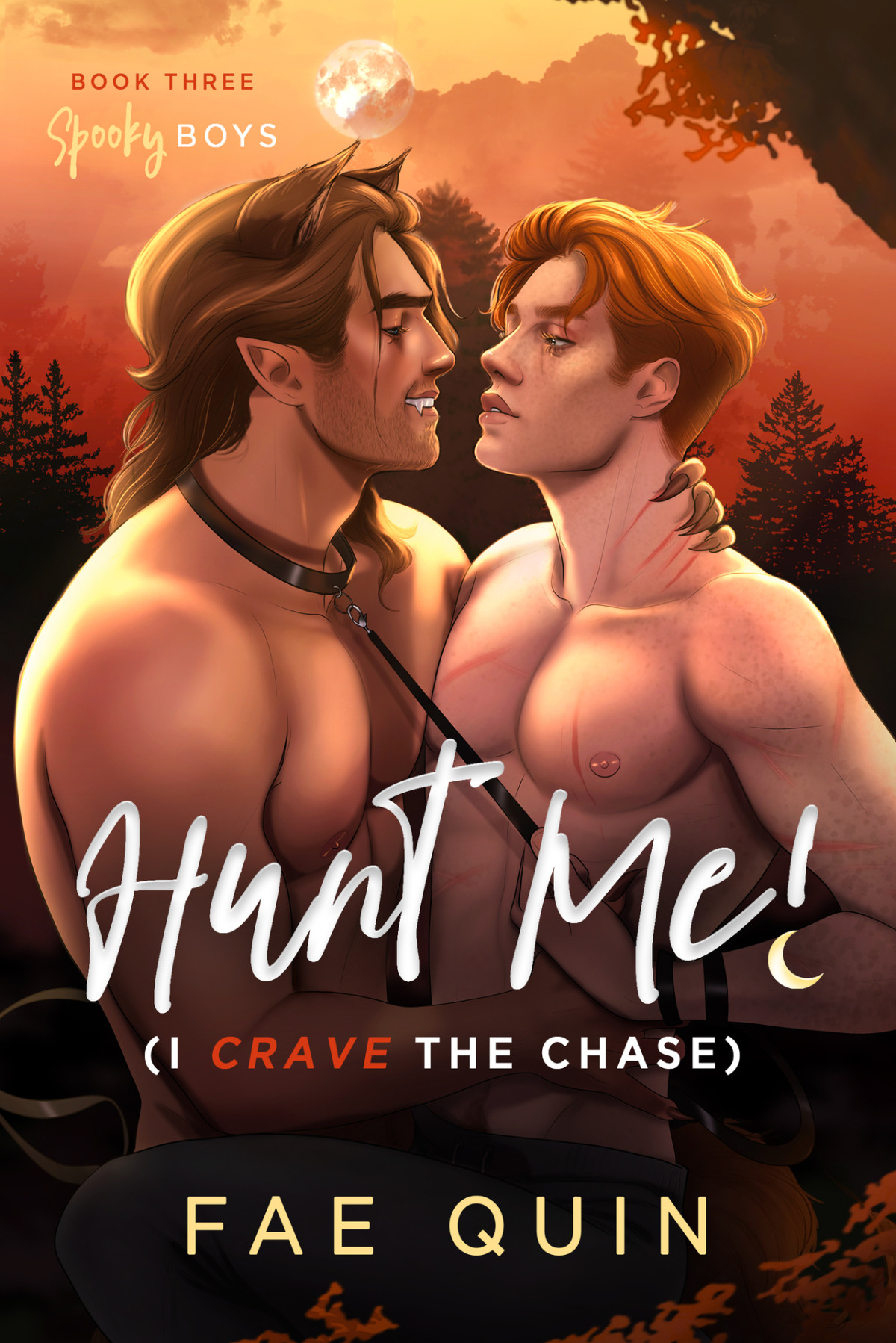 Hunt Me I Crave The Chase Mm Paranormal Werewolf Romance Spooky Boys Book 3 Fae Quin
