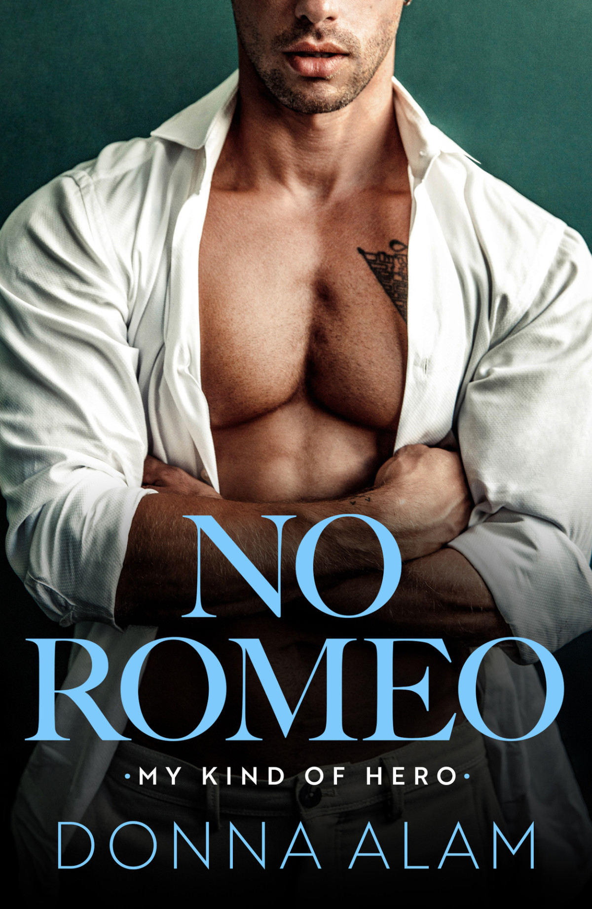 No Romeo My Kind Of Hero Donna Alam