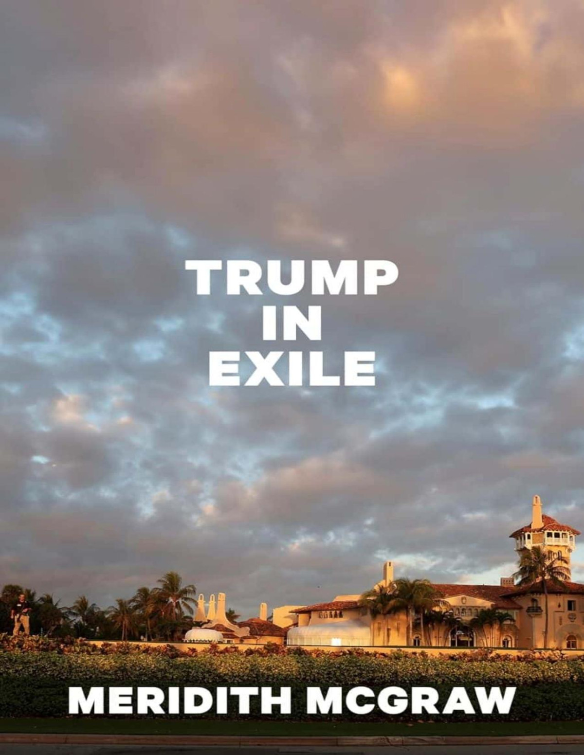 Trump In Exile Meridith Mcgraw