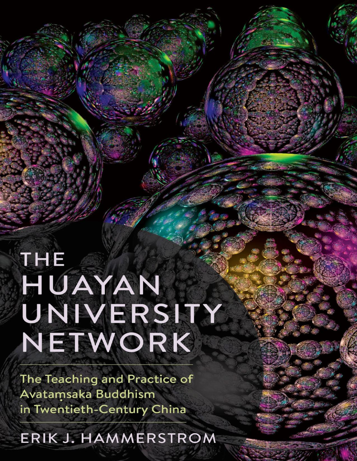 The Huayan University Network Erik J Hammerstrom