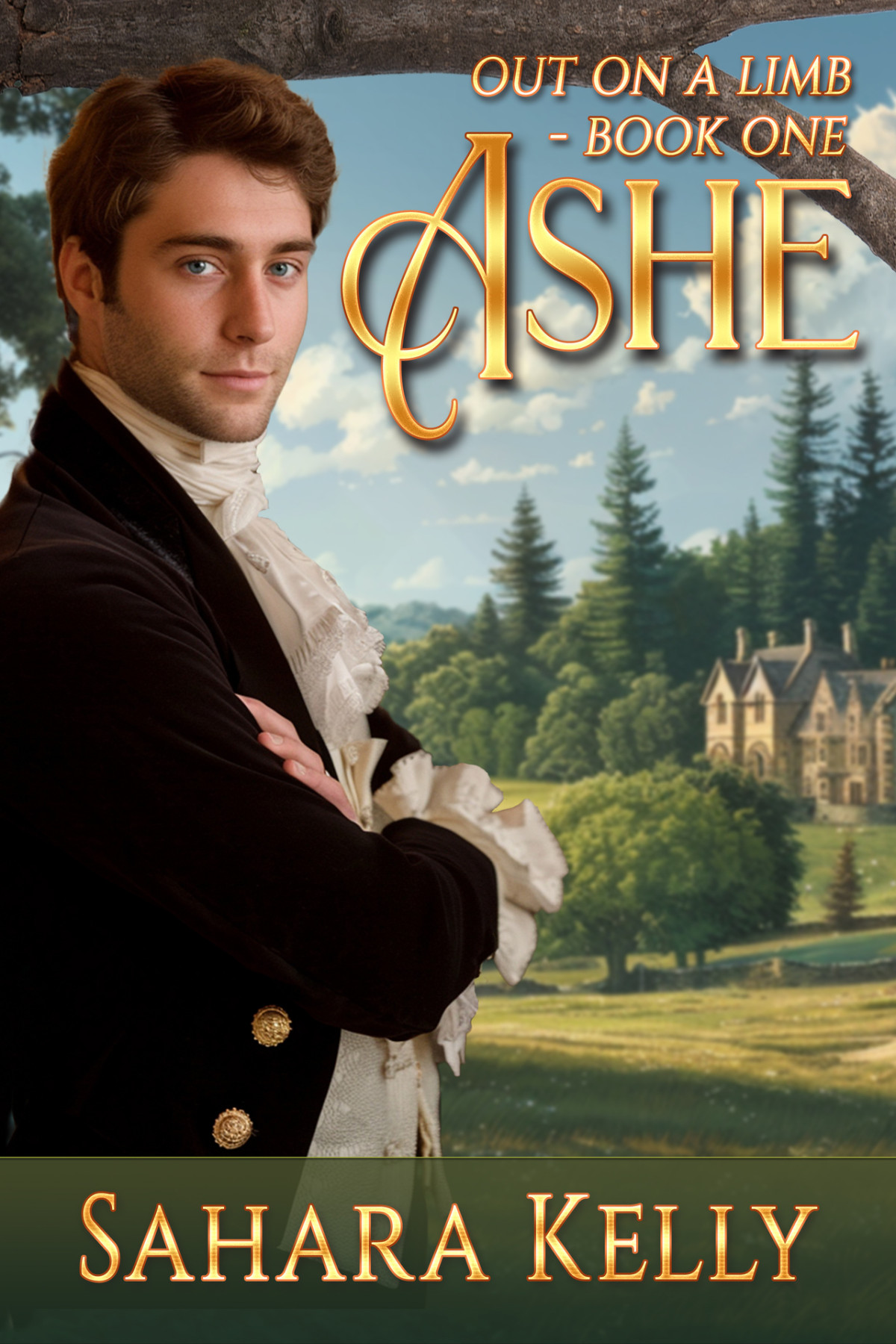 Ashe Out On A Limb Book 1 Sahara Kelly