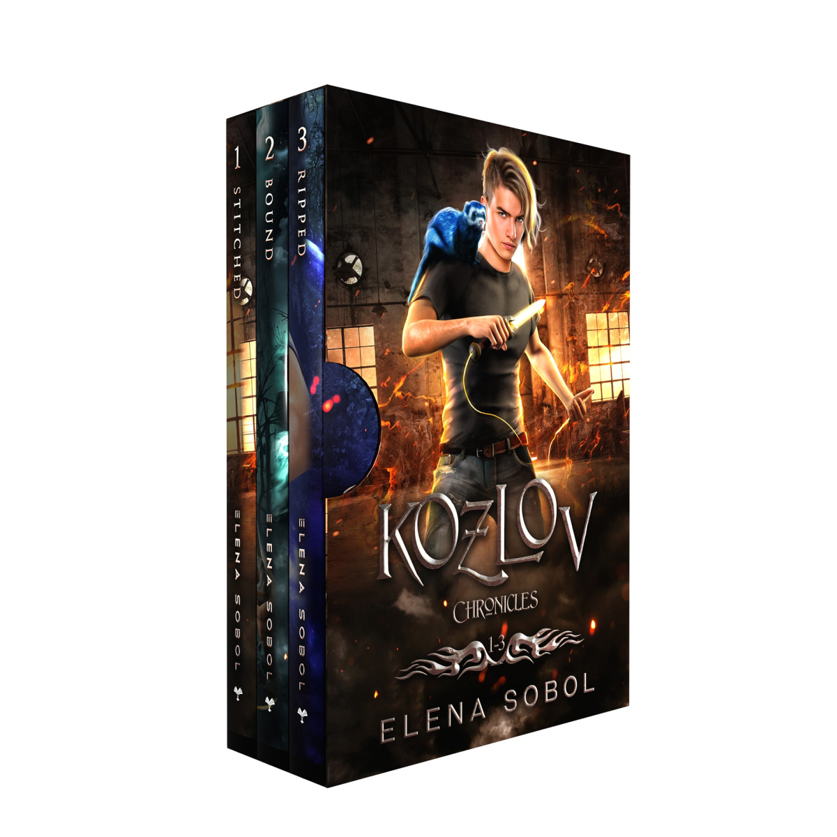 Kozlov Chronicles Books 13 Sobol Elena