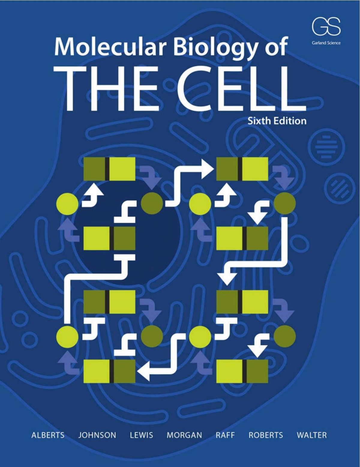Molecular Biology Of The Cell 6th Bruce Alberts Alexander Johnson