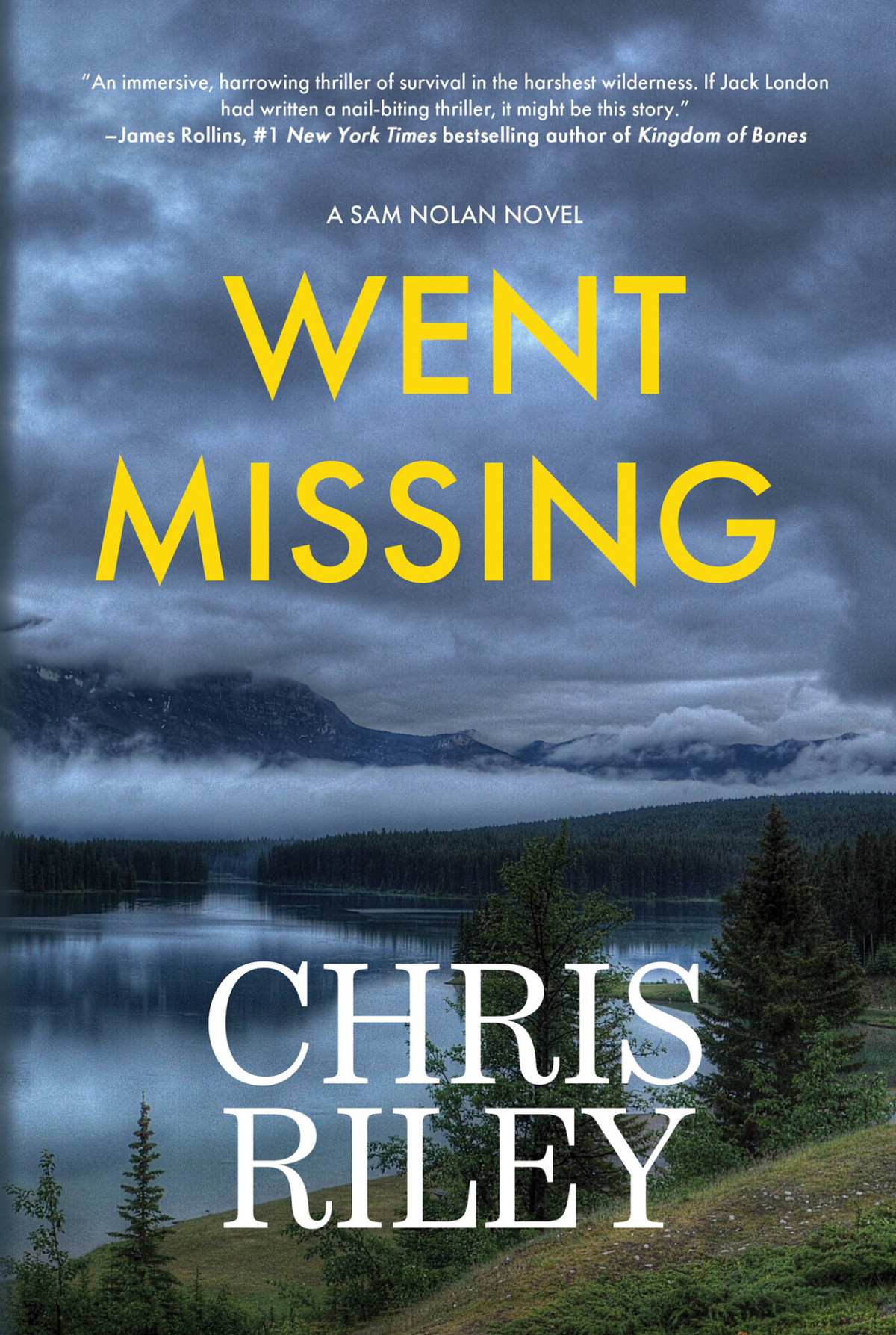 Went Missing A Sam Nolan Novel Chris Riley