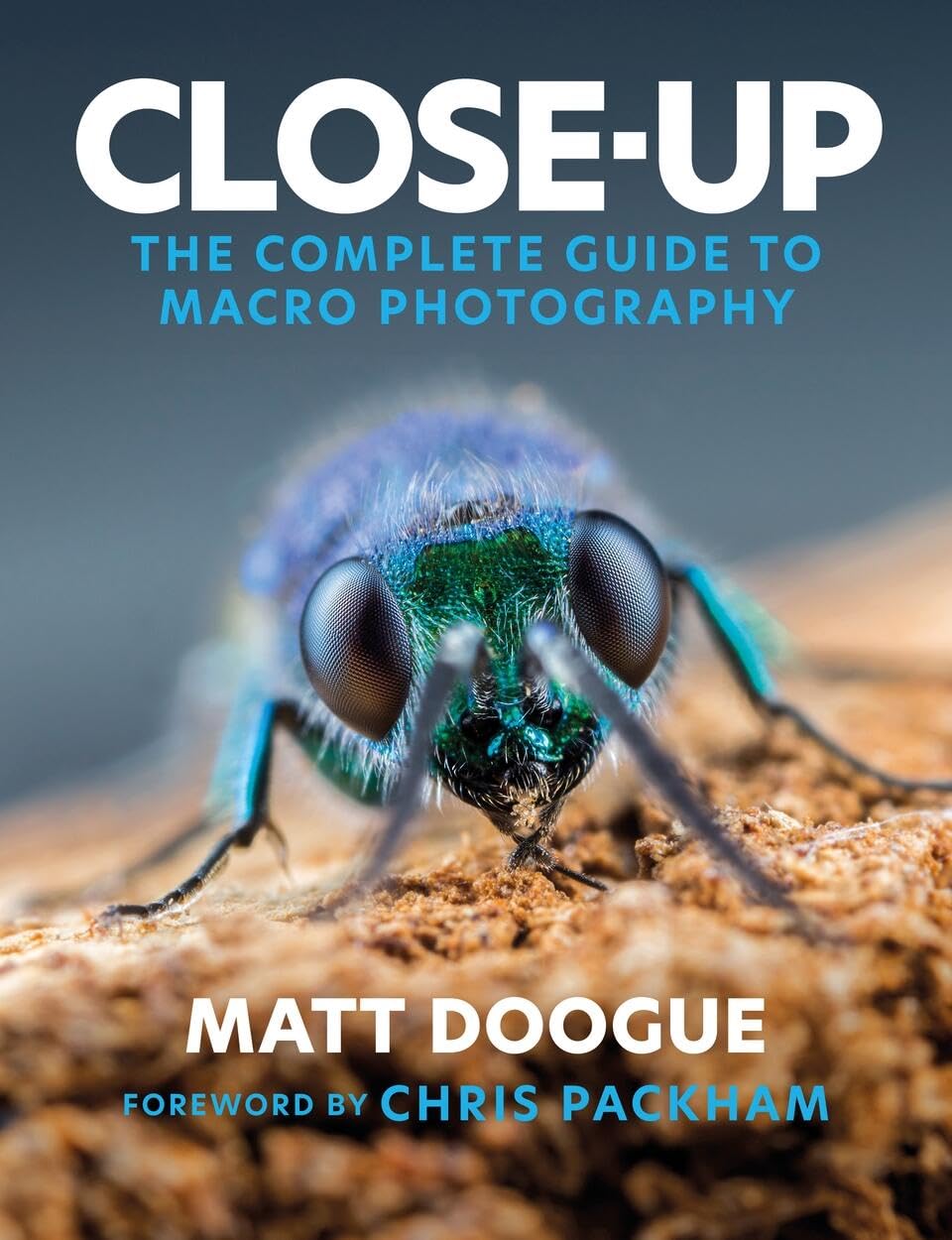 Closeup The Complete Guide To Macro Photography Matt Doogue