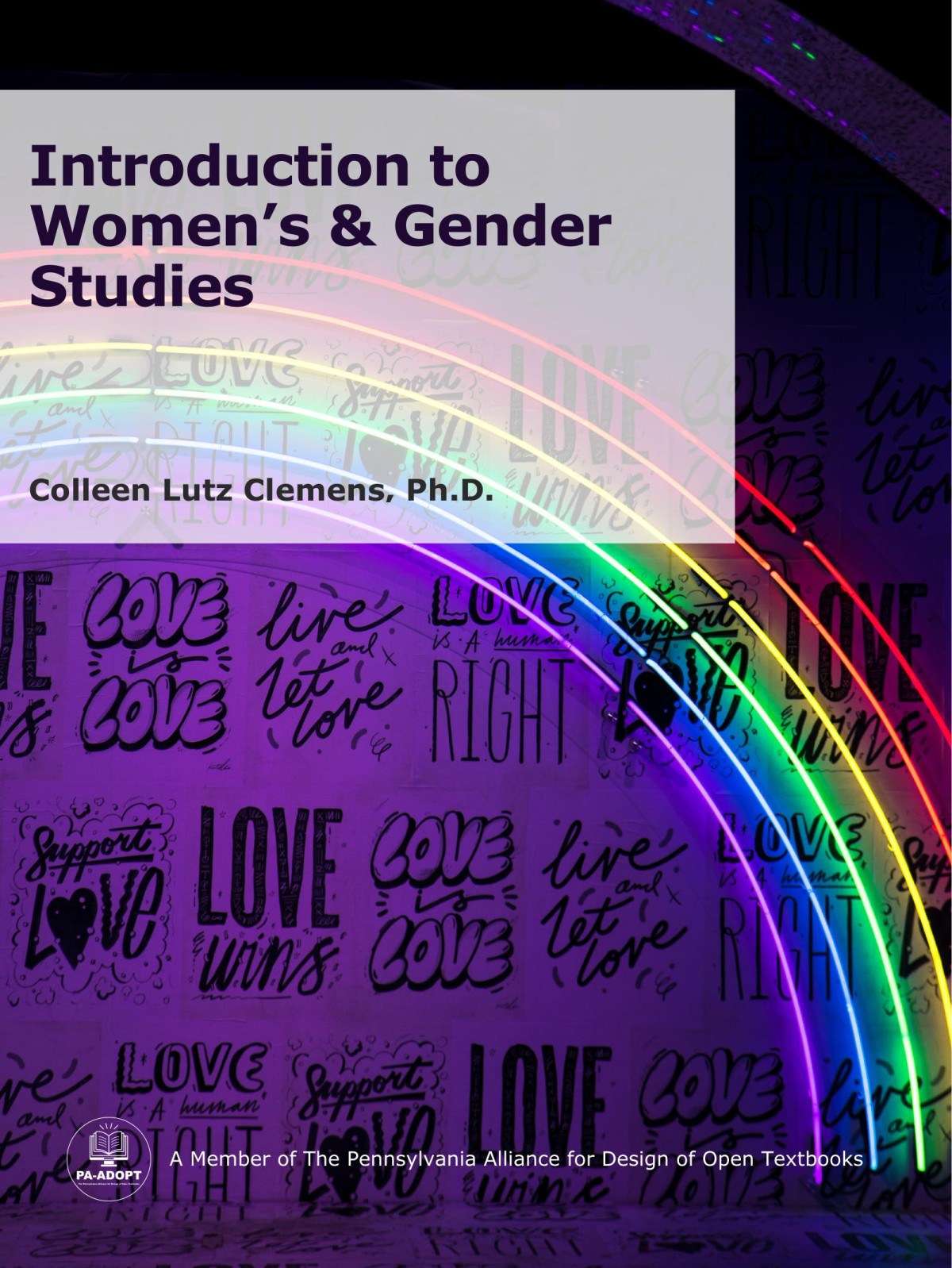 Introduction To Womens Gender Studies 1st Edition Colleen Lutz Clemens