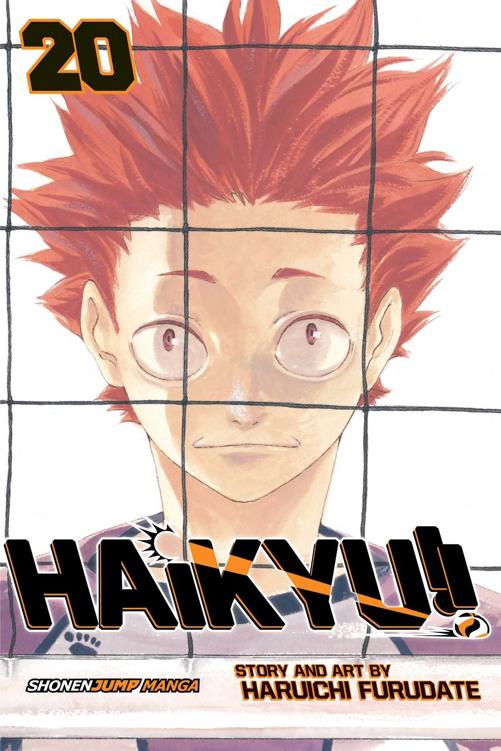 Particular Haikyu Vol 20 Haruichi Furudate