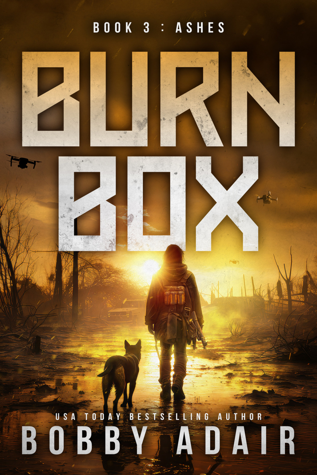Burn Box Ashes Book 3 Bobby Adair