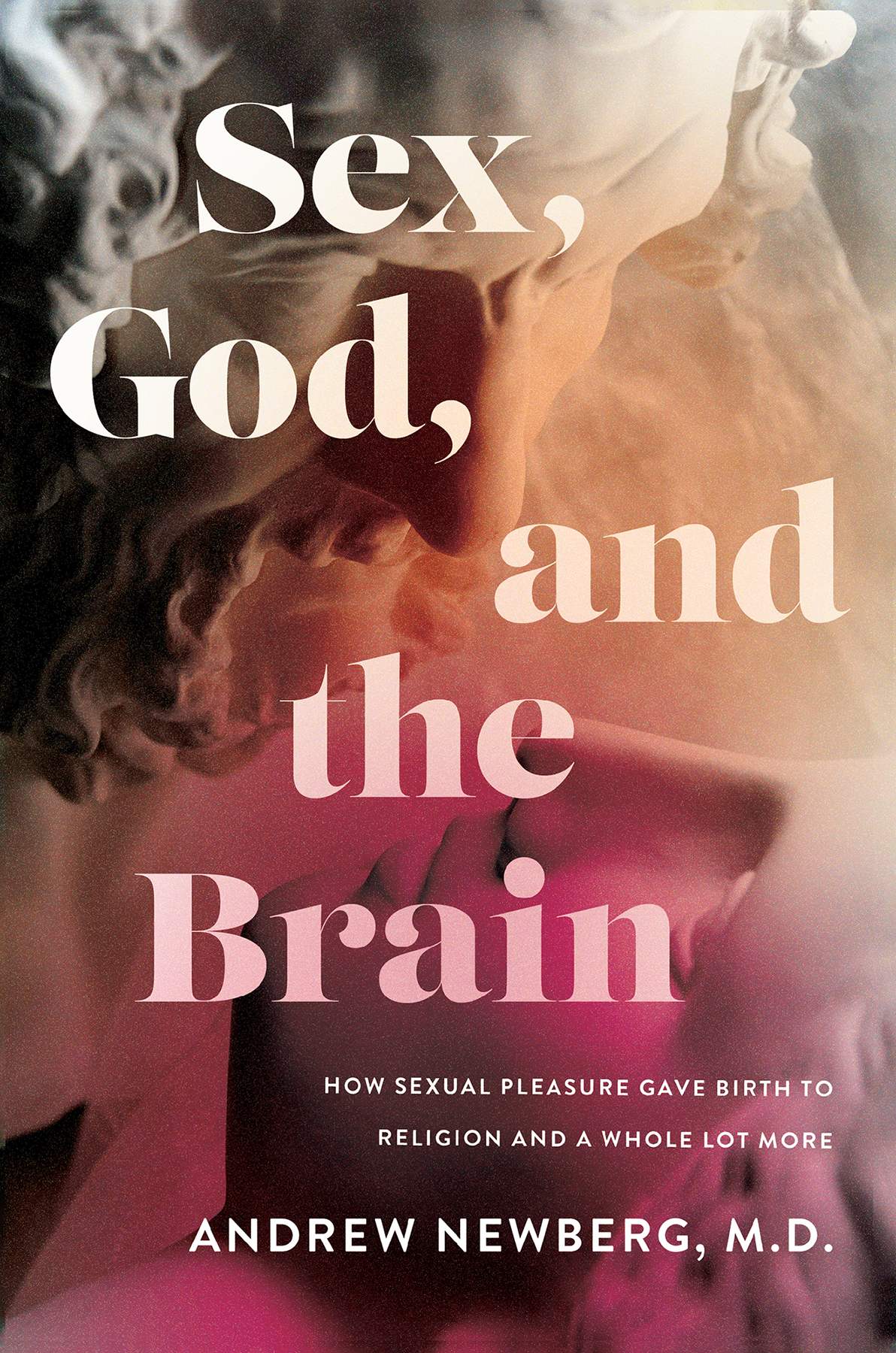 Sex God And The Brain How Sexual Pleasure Gave Birth To Religion And A Whole Lot More Andrew Newberg