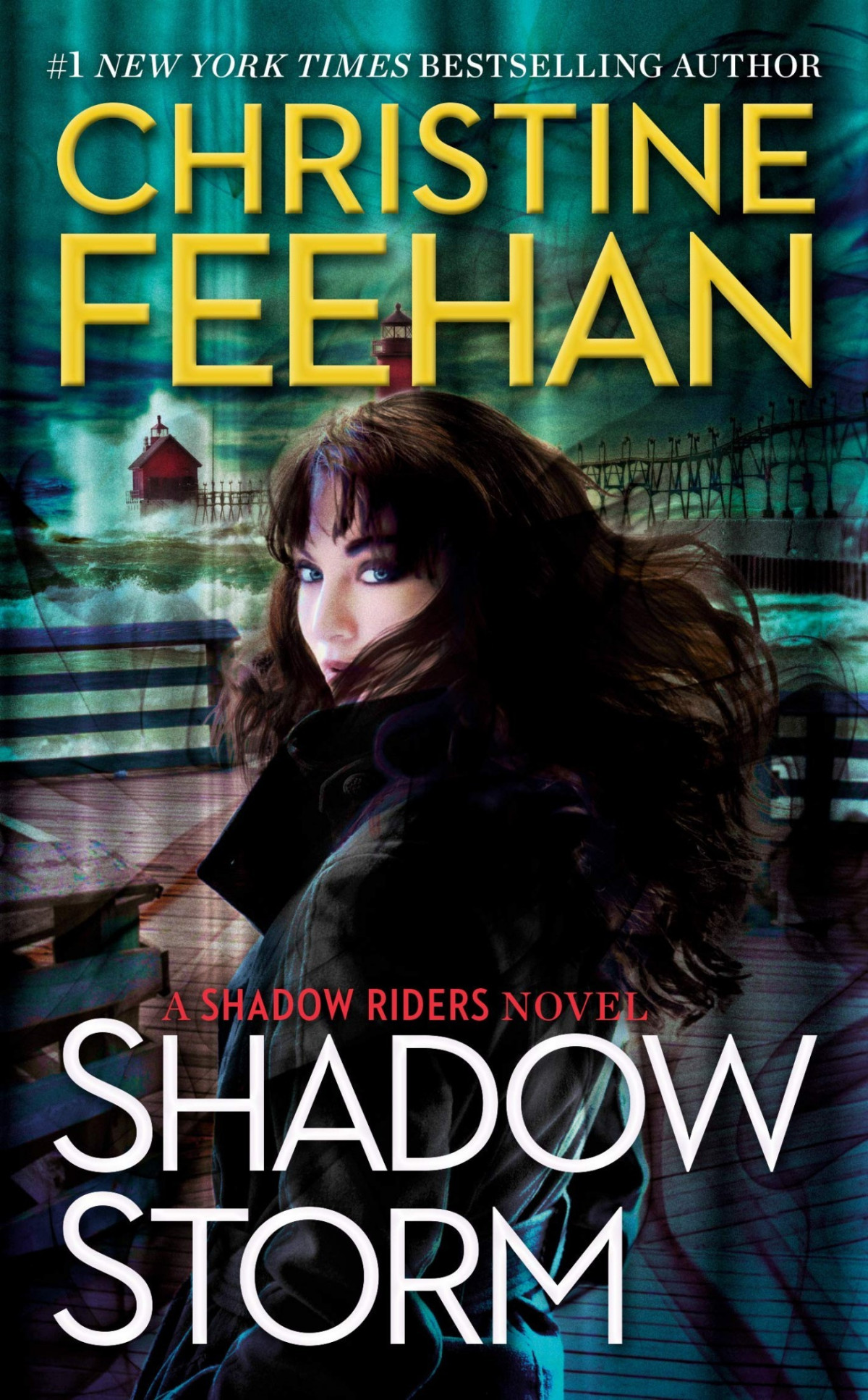 Shadow Riders 06 Shadow Storm Feehan Christine