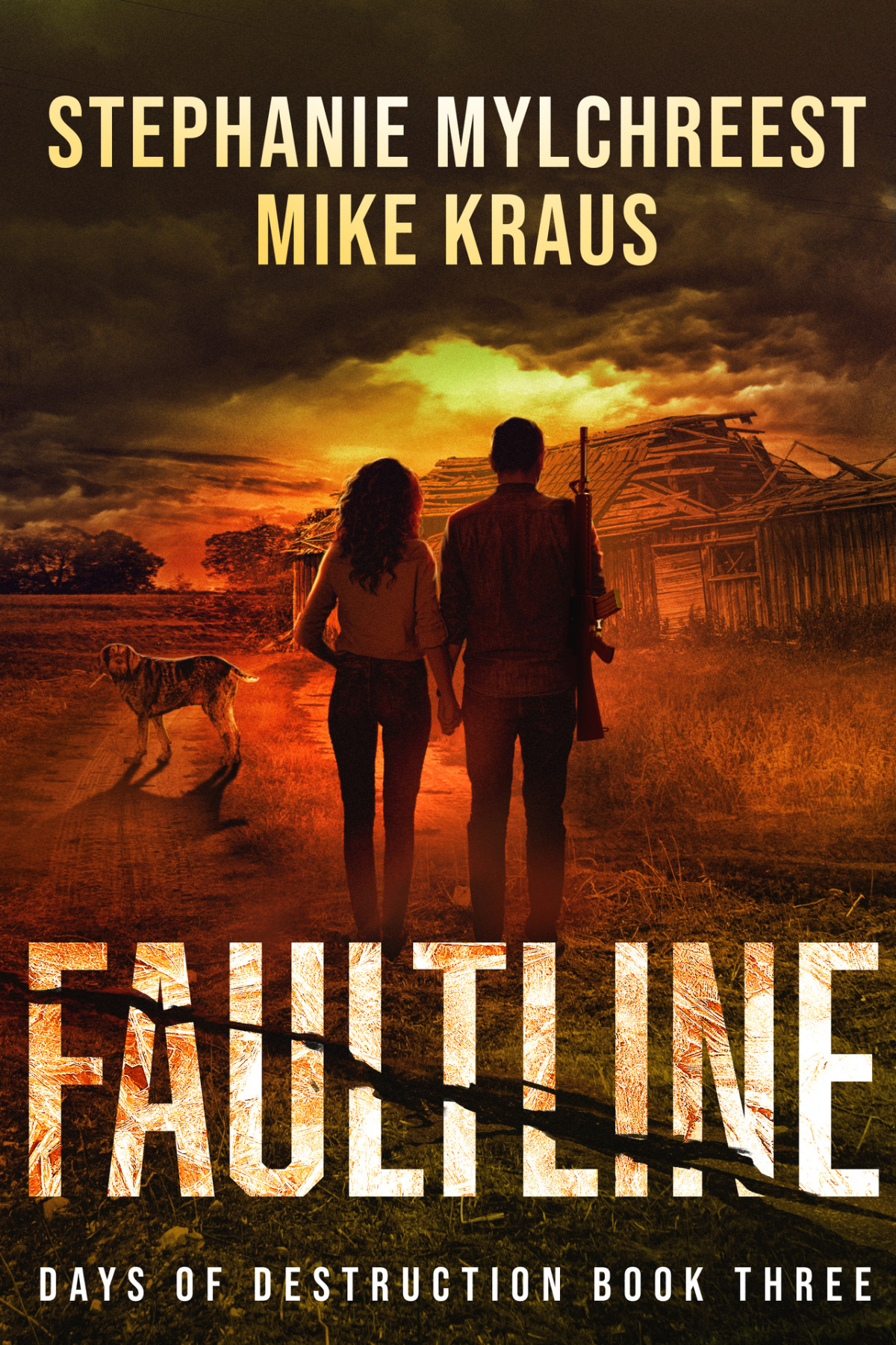 Faultline Days Of Destruction Book 3 A Postapocalyptic Survival Thriller Series Kraus