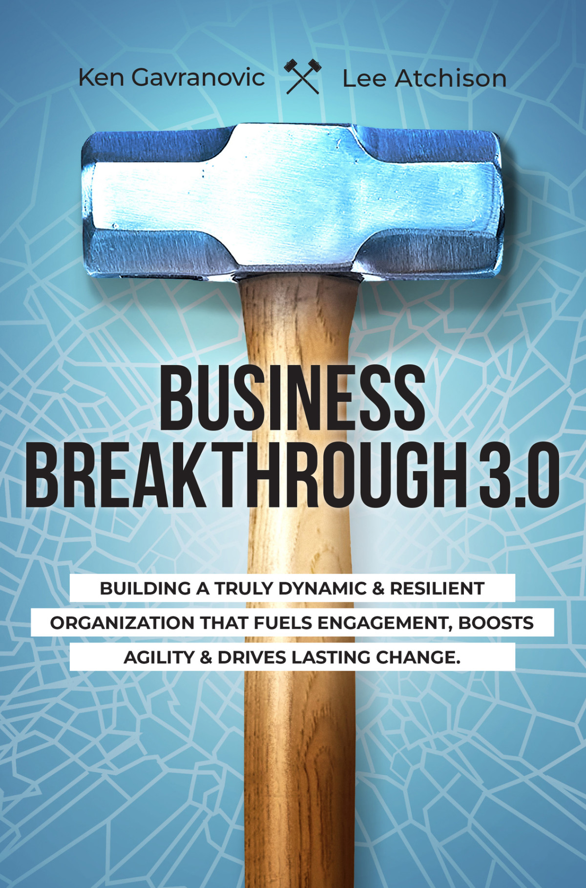 Business Breakthrough 31 Building A Truly Dynamic And Resilient Organization That Fuels Engagement Boosts Agility And Drives Lasting Change Gavranovic