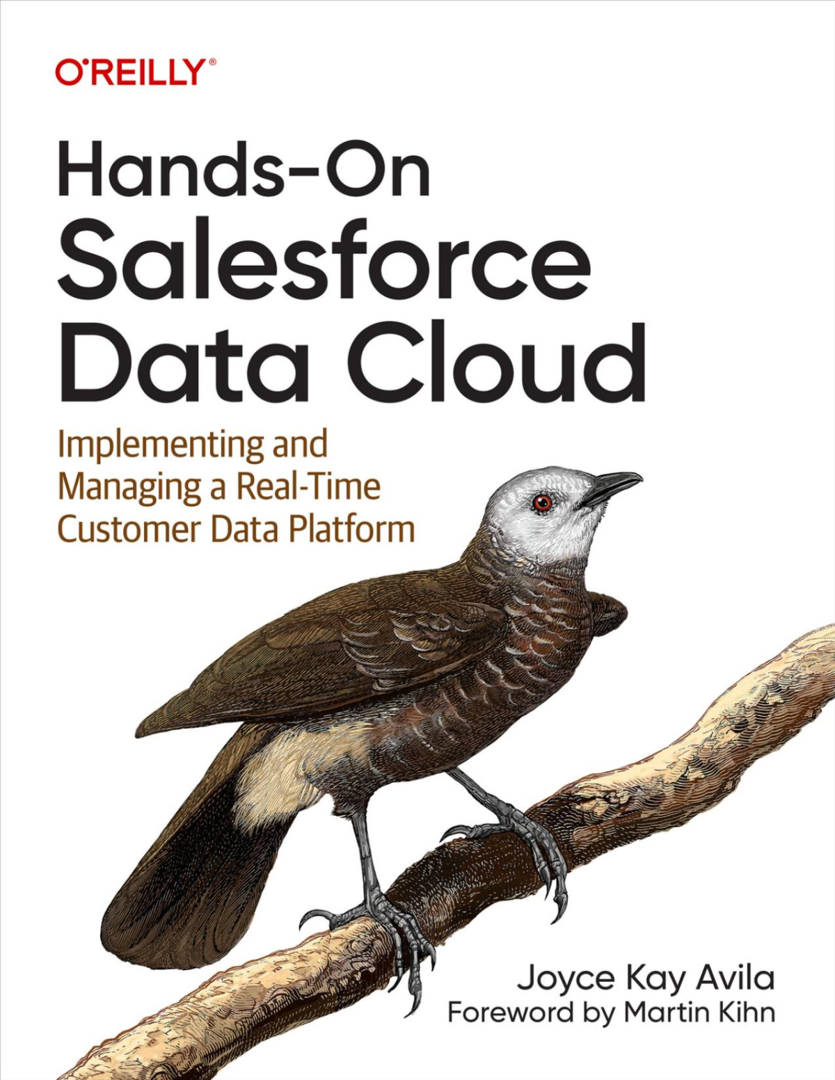 Handson Salesforce Data Cloud For True Epub Converted Joyce Kay Avila
