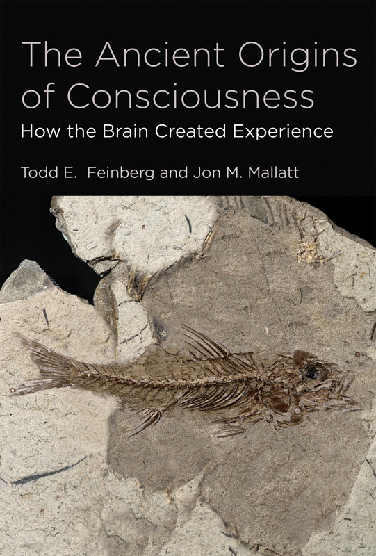 The Ancient Origins Of Consciousness How The Brain Created Experience Mit Press Todd E Feinberg Jon M Mallatt