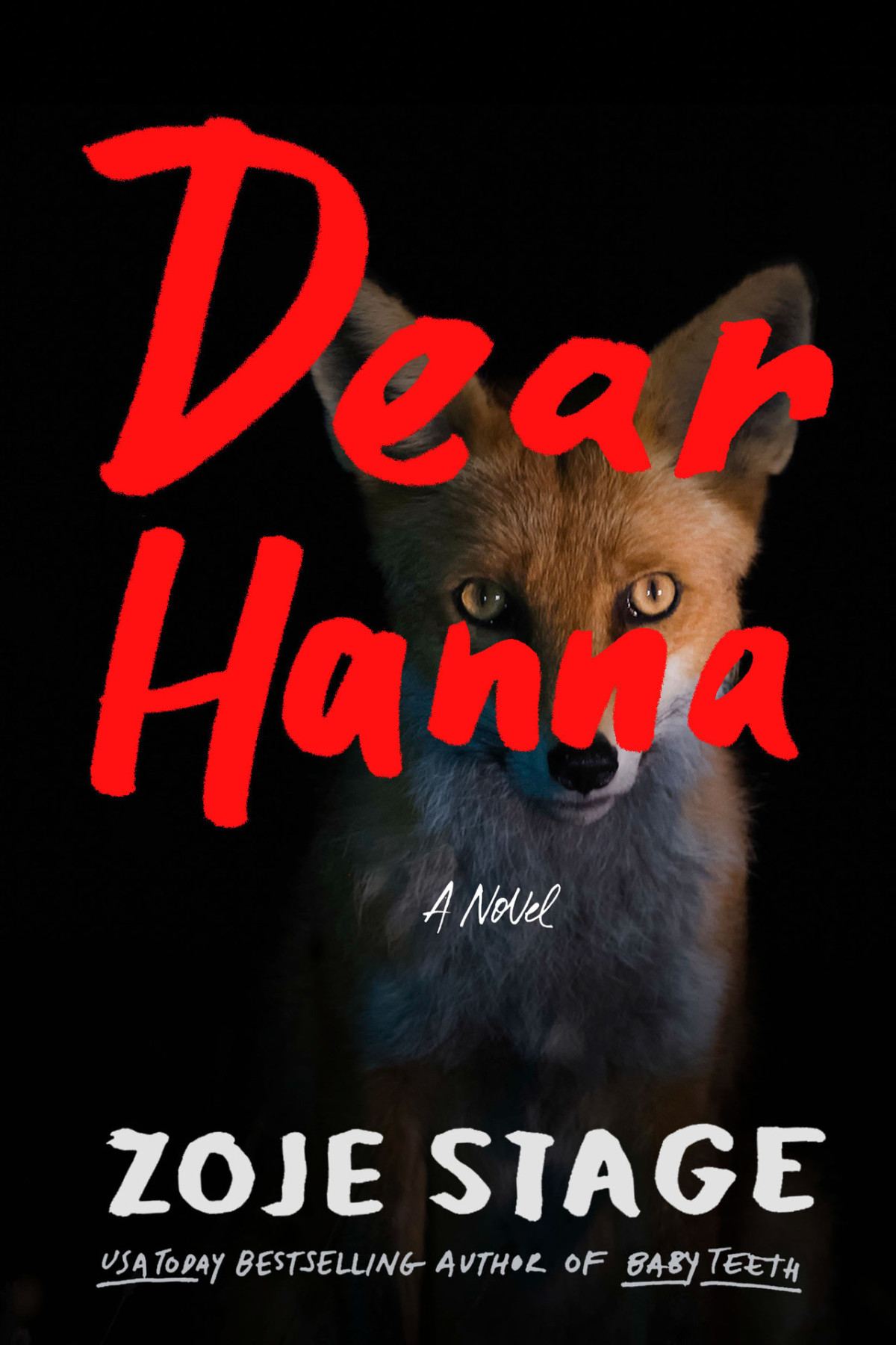 Dear Hanna A Novel Zoje Stage