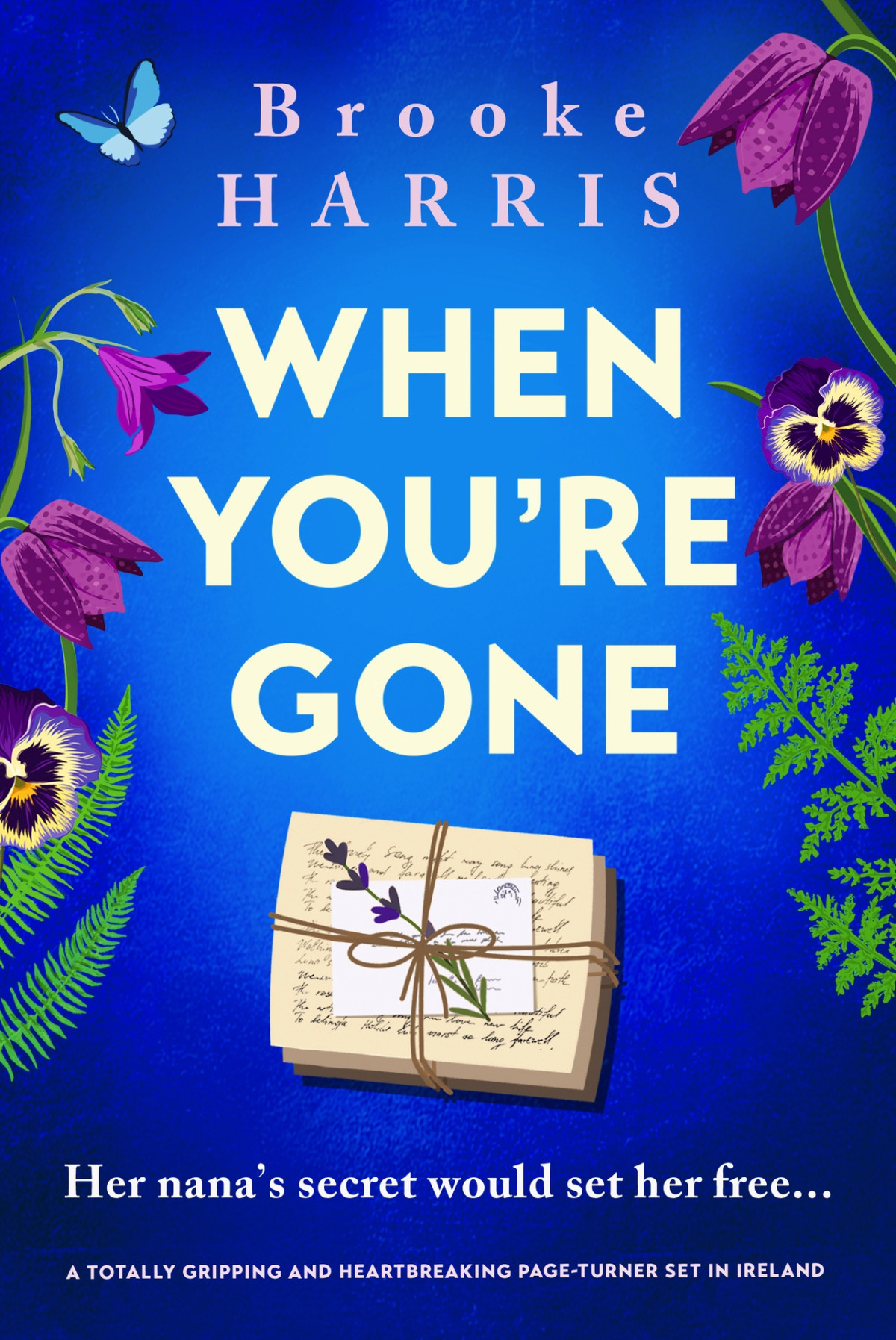 When Youre Gone A Totally Gripping And Heartbreaking Pageturner Set In Ireland Brooke Harris