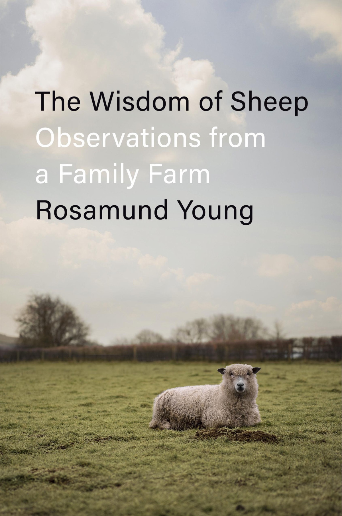 The Wisdom Of Sheep Observations From A Family Farm Rosamund Young
