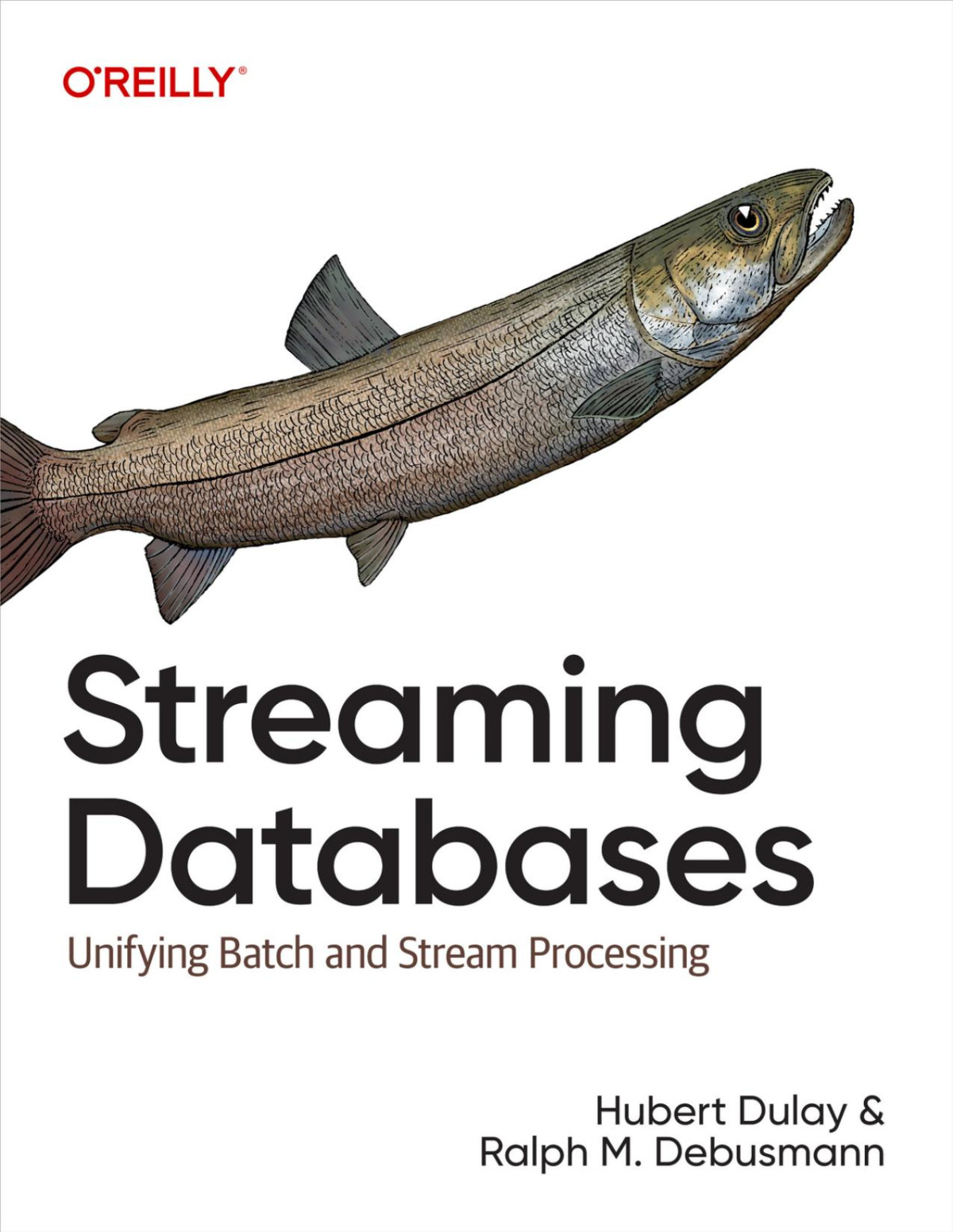 Streaming Databases Unifying Batch And Stream Processing Hubert Dulay Ralph Matthias Debusmann