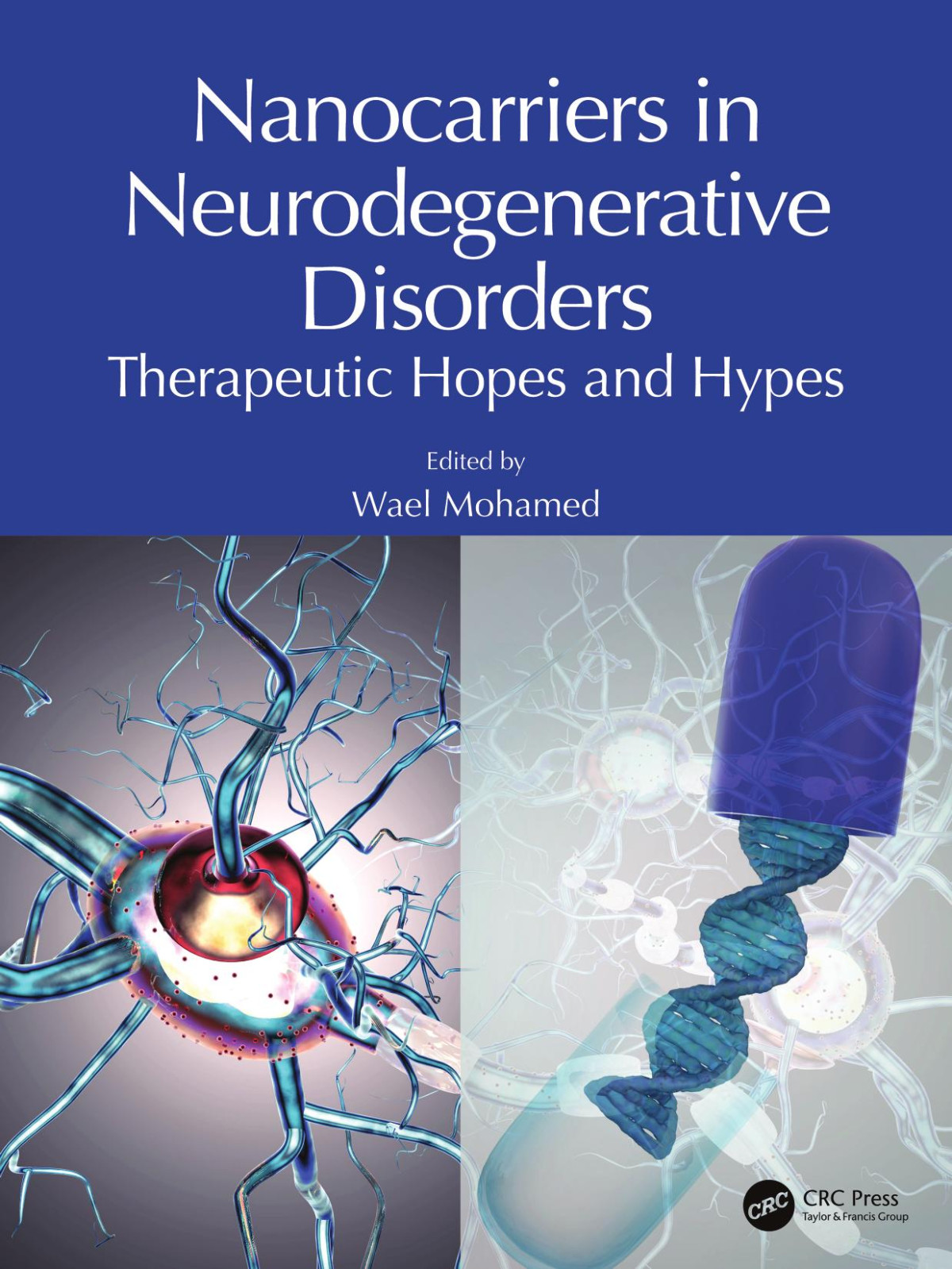 Nanocarriers In Neurodegenerative Disorders Therapeutic Hopes And Hypes Wael Mohamed