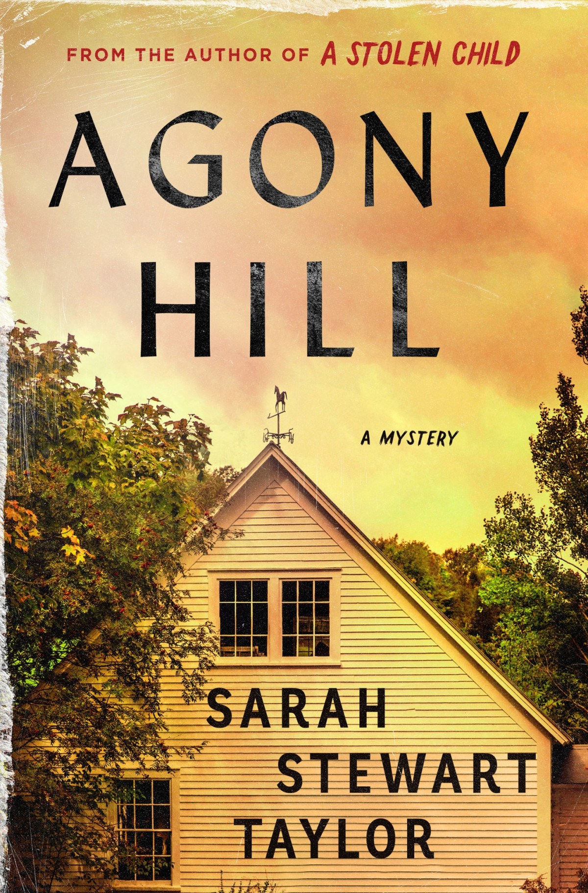 Agony Hill A Mystery Sarah Stewart Taylor