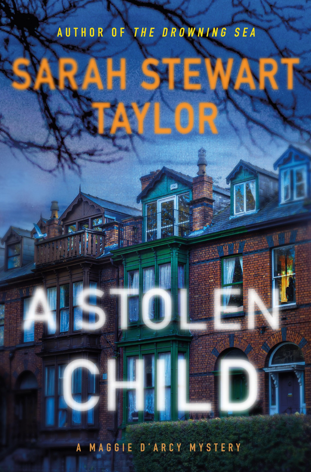A Stolen Child A Maggie Darcy Mystery Sarah Stewart Taylor