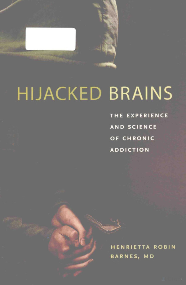 Hijacked Brains The Experience And Science Of Chronic Addictionhenrietta Robln Barnes 2015th Edition Md