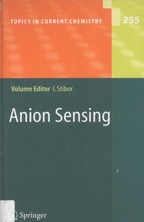 Anion Sensing 2005th Edition Ivan Stibor