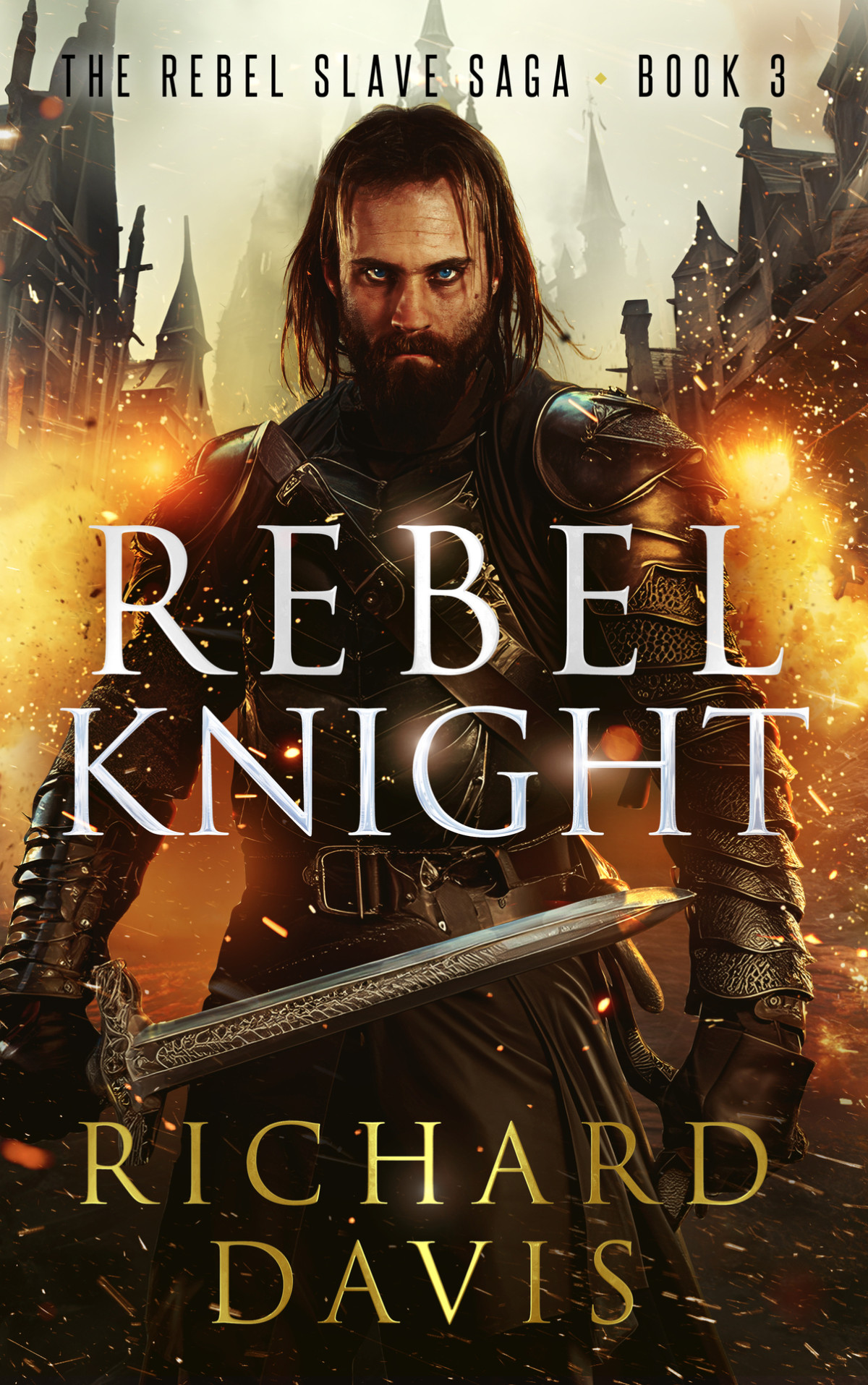 Rebel Knight Richard Davis