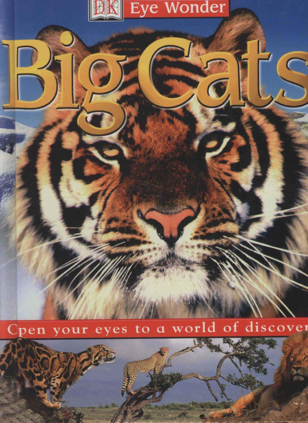 Big Cats 2002th Edition Sarah Walker