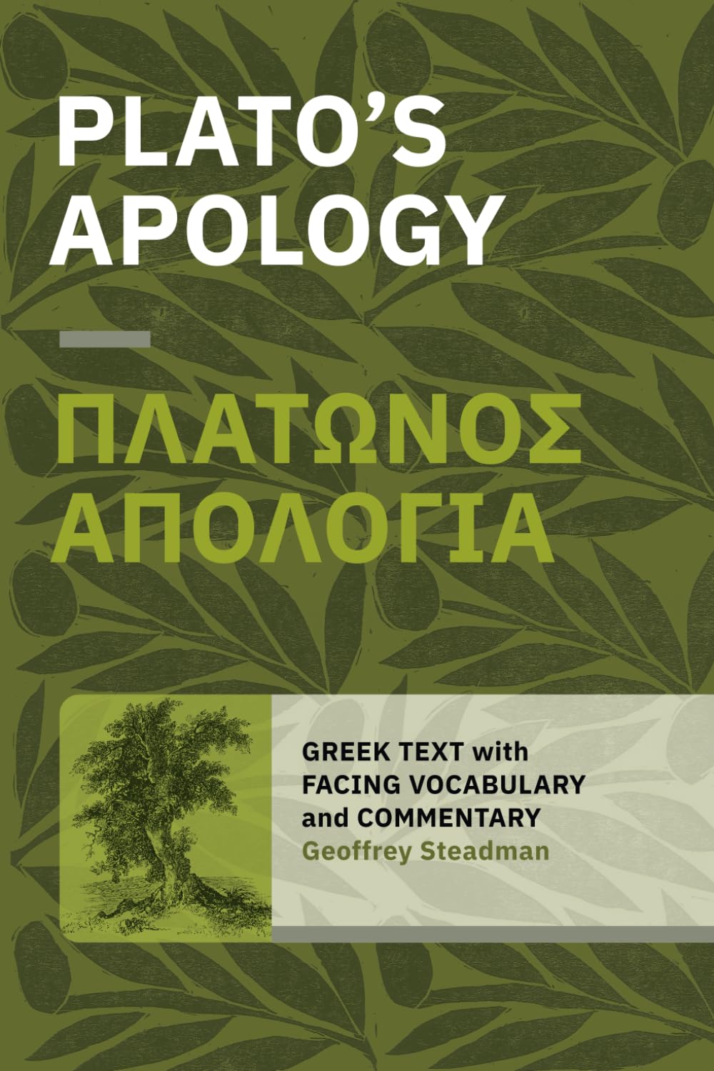 Platos Apology Greek Text With Facing Vocabulary And Commentary Plato