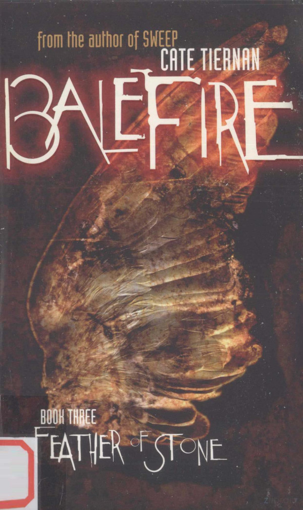 A Feather Of Stone 2005th Edition Cate Tiernan