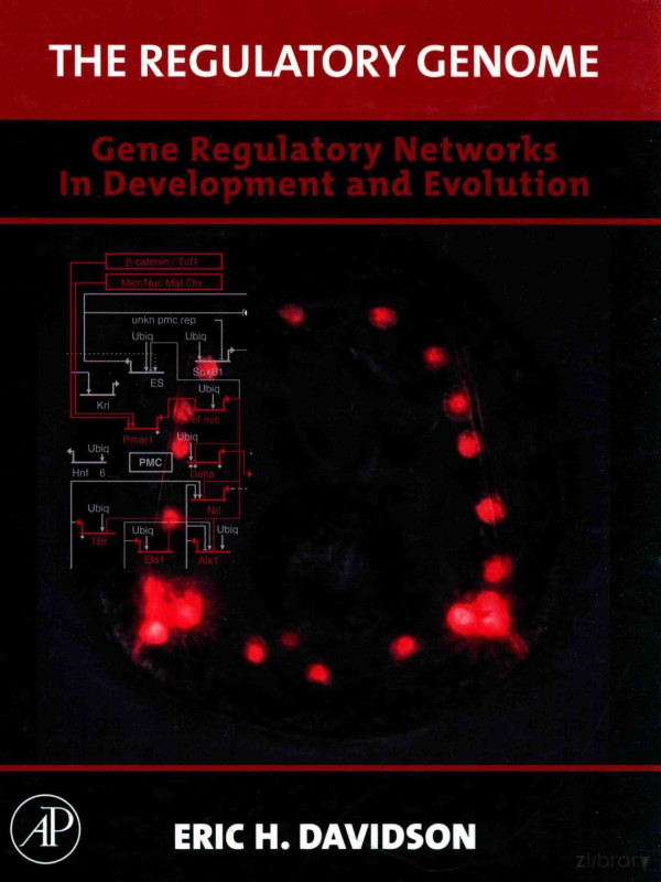 The Regulatory Genome Gene Regulatory Networks In Development And Evolution 2006th Edition Eric Hdavidson