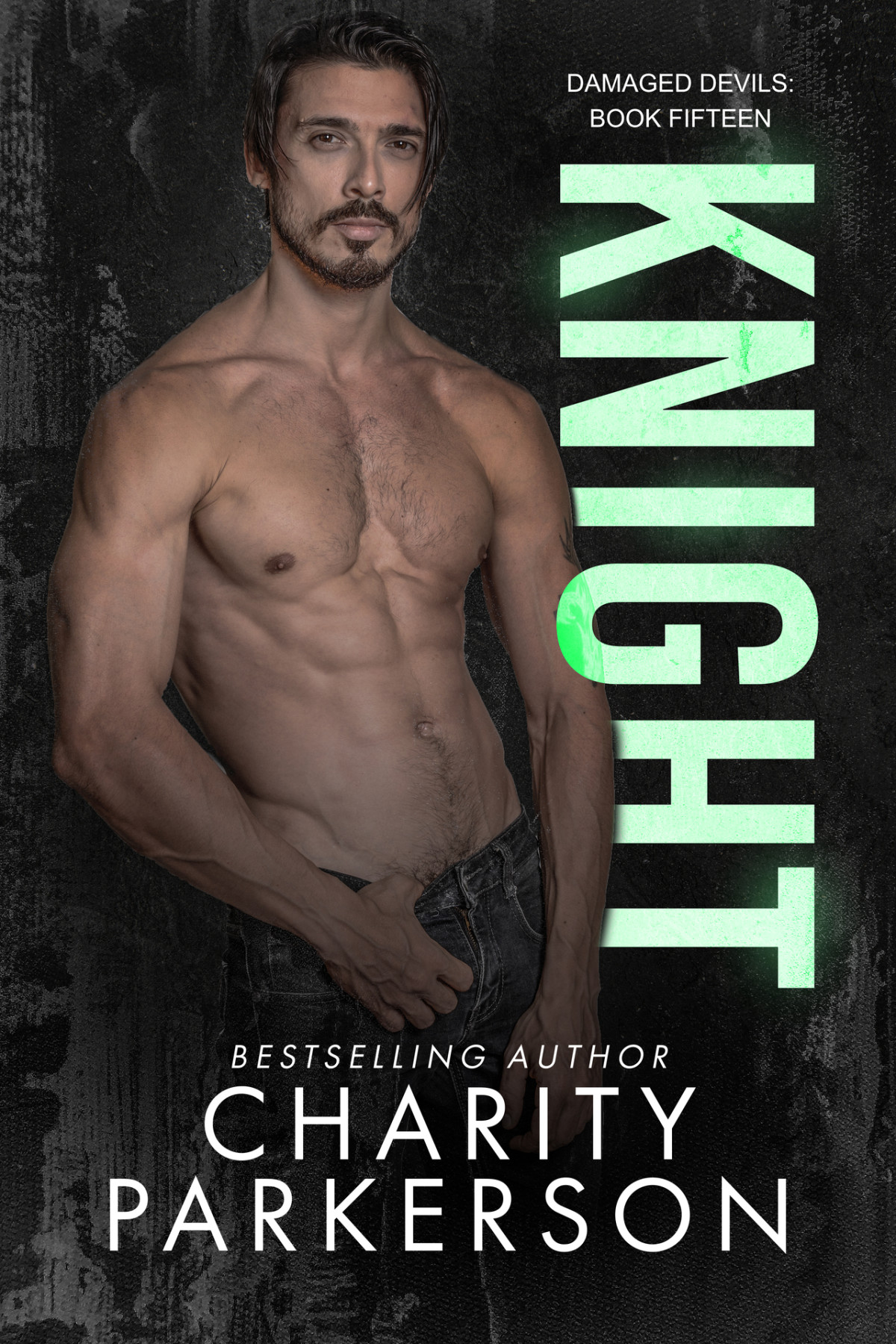 Knight Damaged Devils Book 15 Charity Parkerson