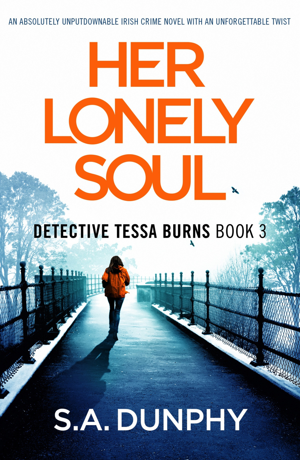 Her Lonely Soul Detective Tessa Burns Book 3 1st Edition Sa Dunphy